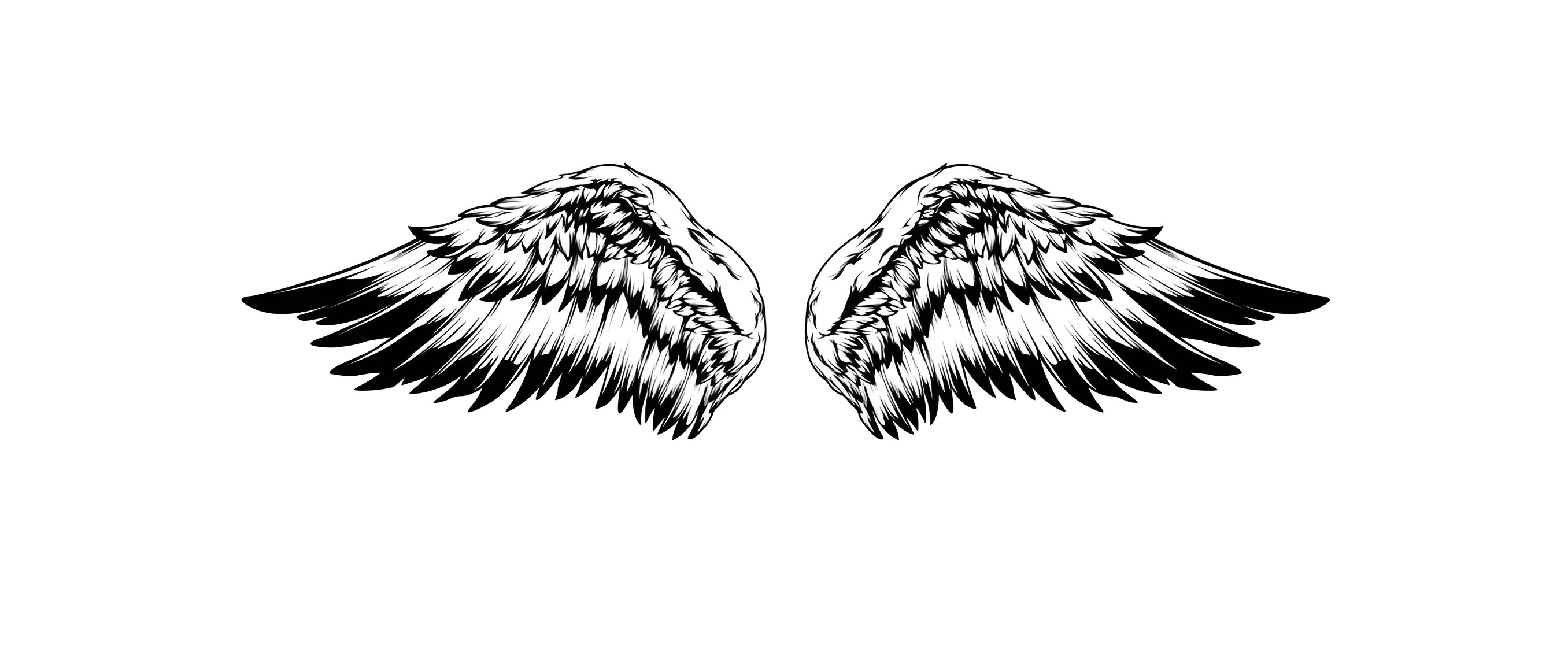Black and white angel wings illustration HD Wallpaper