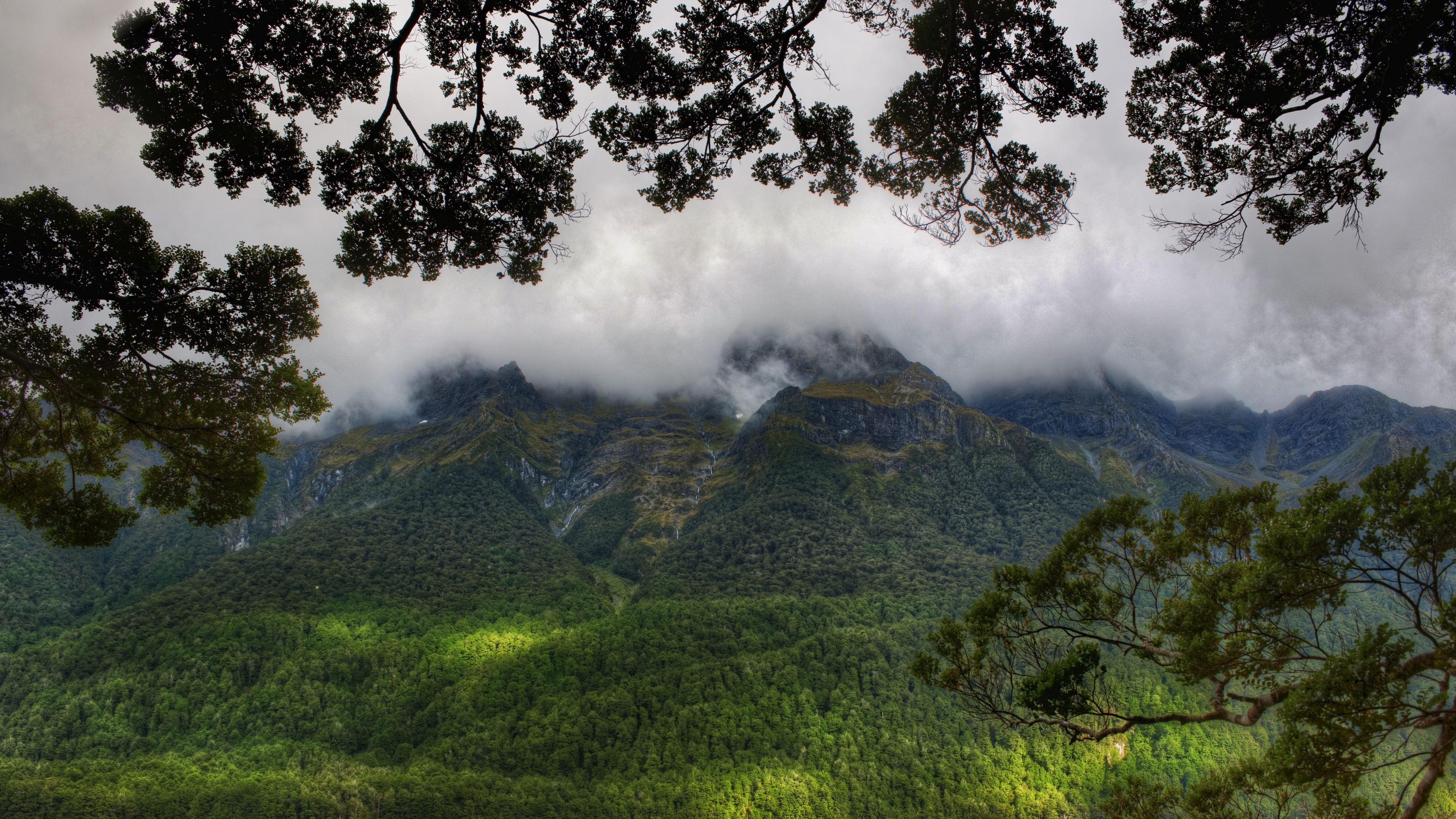 4K Mist Over Mountains and Forest Landscape HD Wallpaper