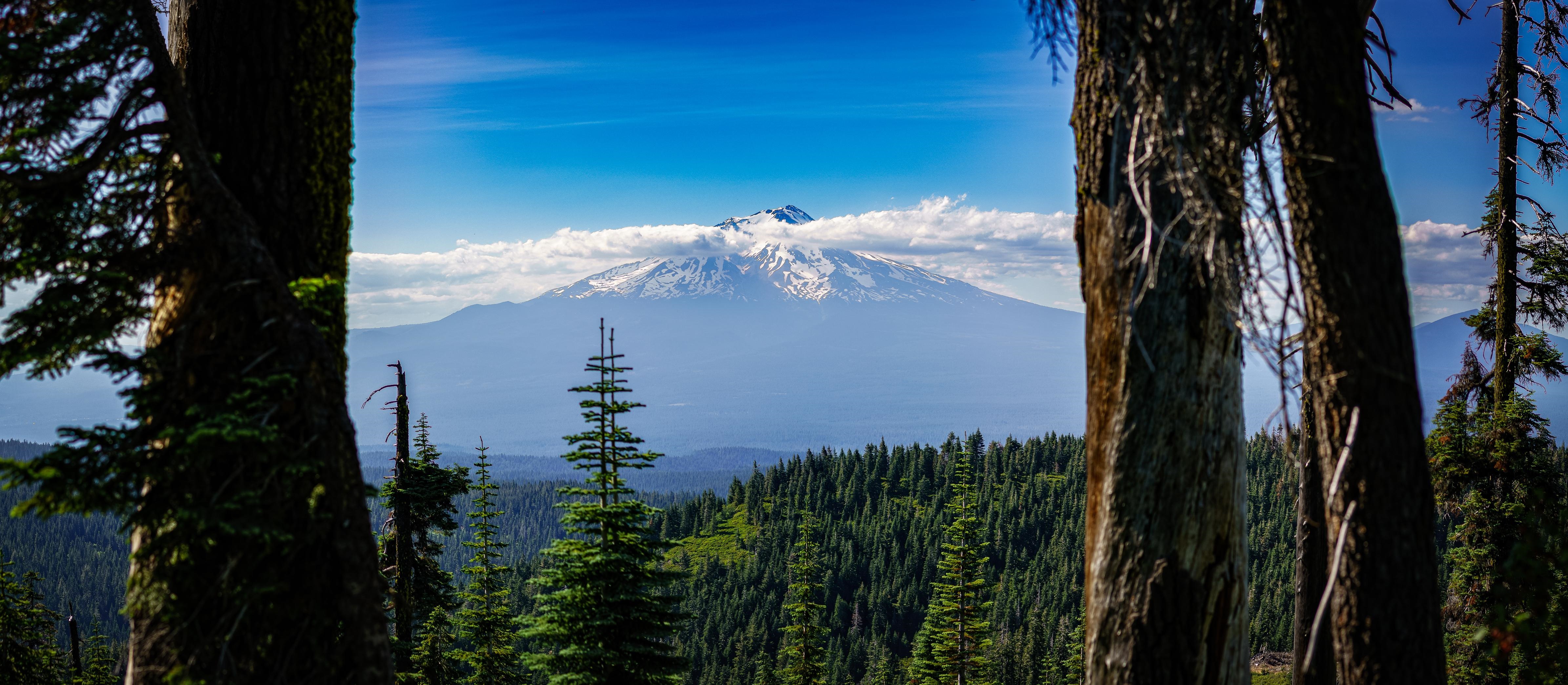 Mount Shasta landscape with forest and clouds HD Wallpaper