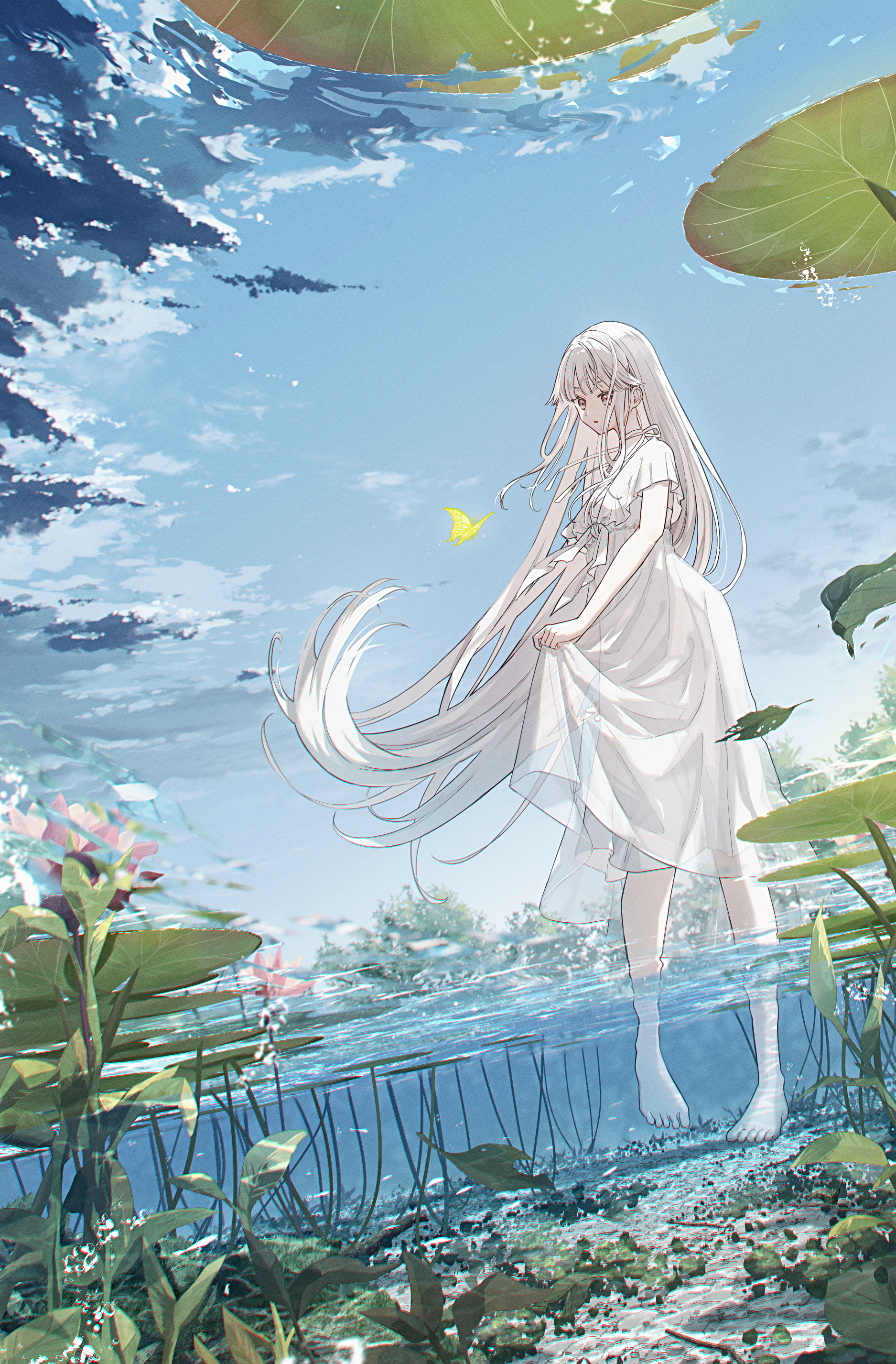 Girl in white dress by water lilies with butterfly HD Phone Wallpaper
