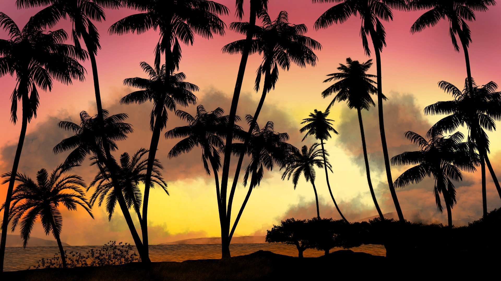 Palm trees silhouetted against a colorful sunset sky HD Wallpaper