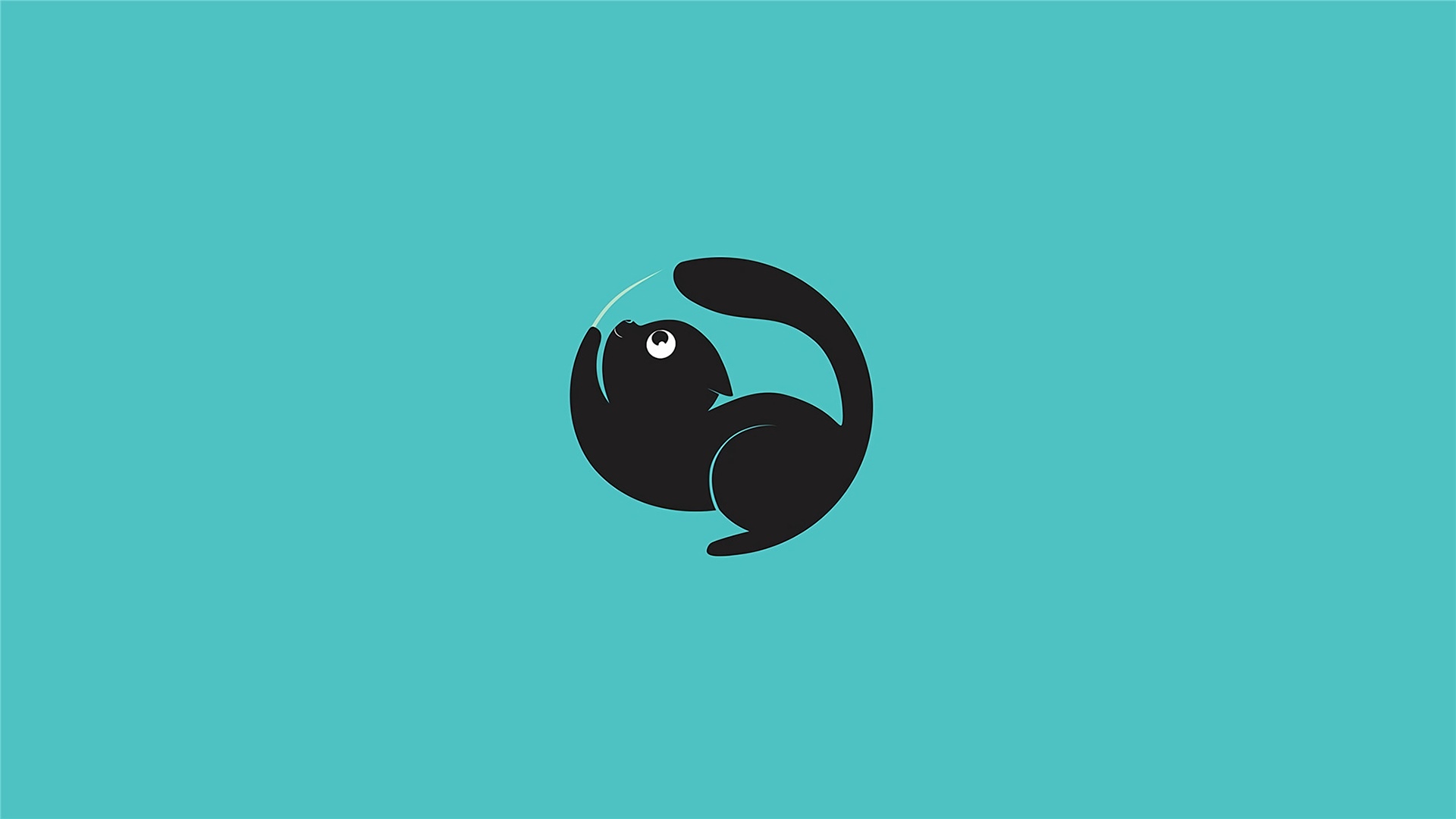 Black cat playing with a white string on a blue background HD Wallpaper