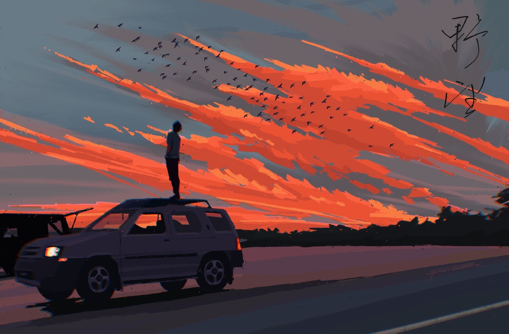 Person standing on car watching sunset with birds HD Wallpaper