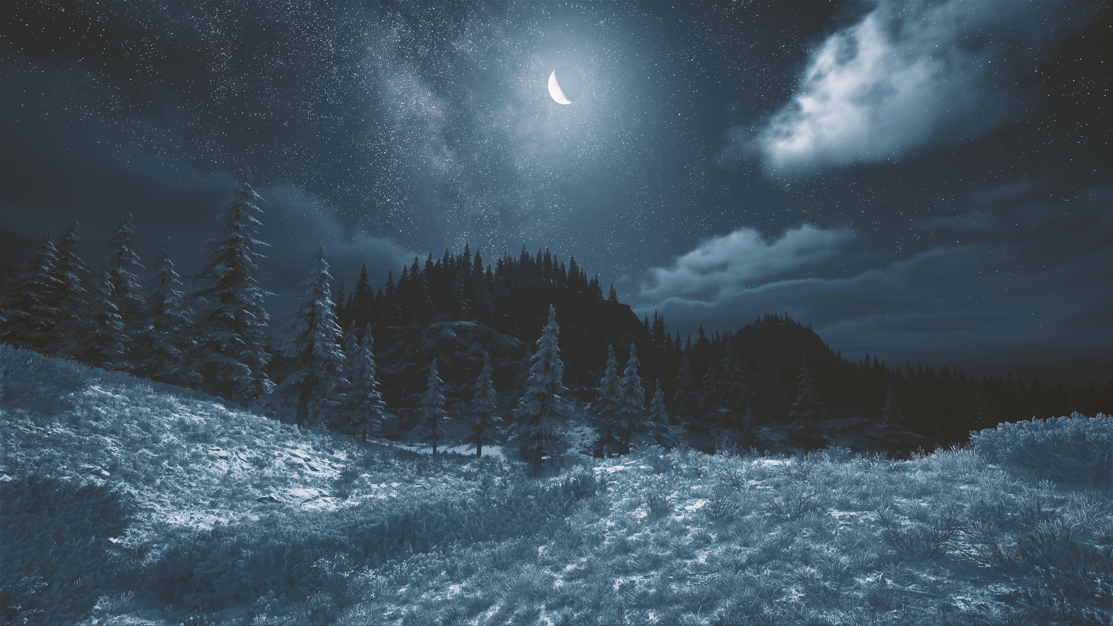 4K Starry Night with Crescent Moon over Forest HD Wallpaper
