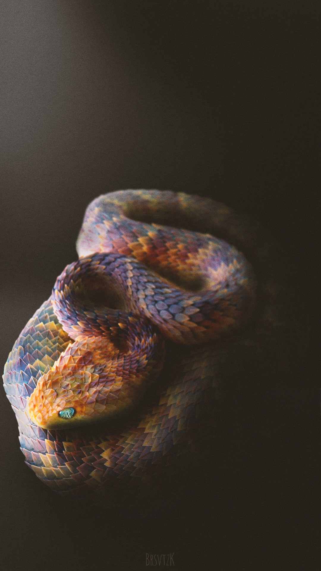 A coiled viper with colorful scales and blue eyes HD Phone Wallpaper
