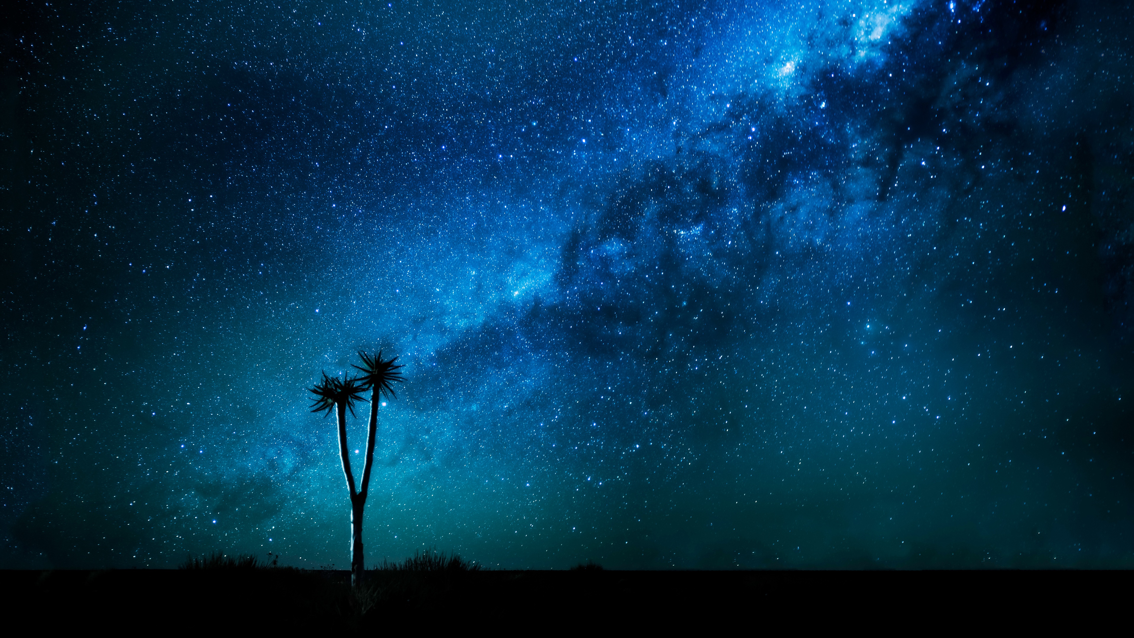 4K Starry Night Sky Over Desert Landscape HD Wallpaper