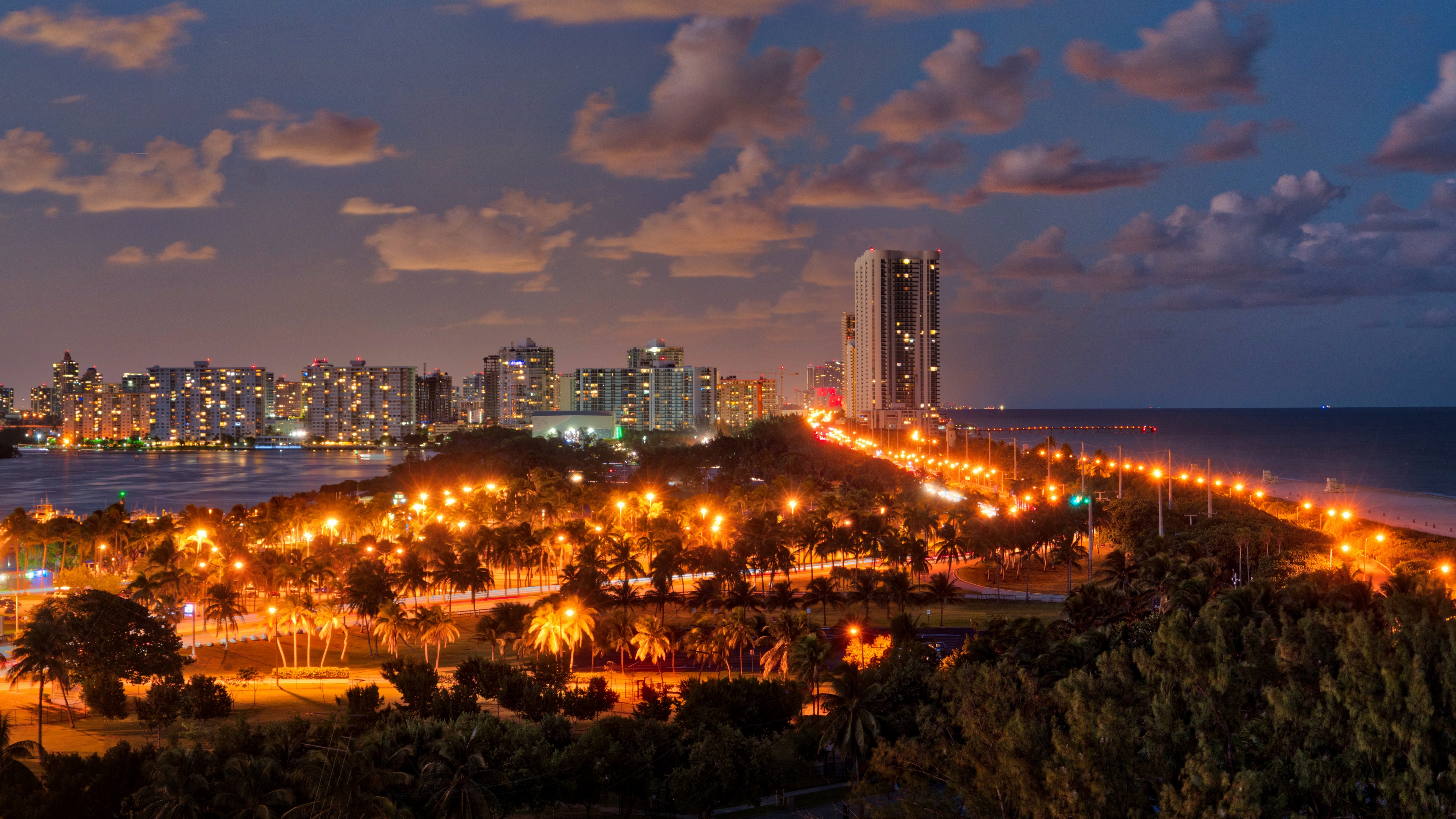 City lights and palm trees at dusk HD Wallpaper