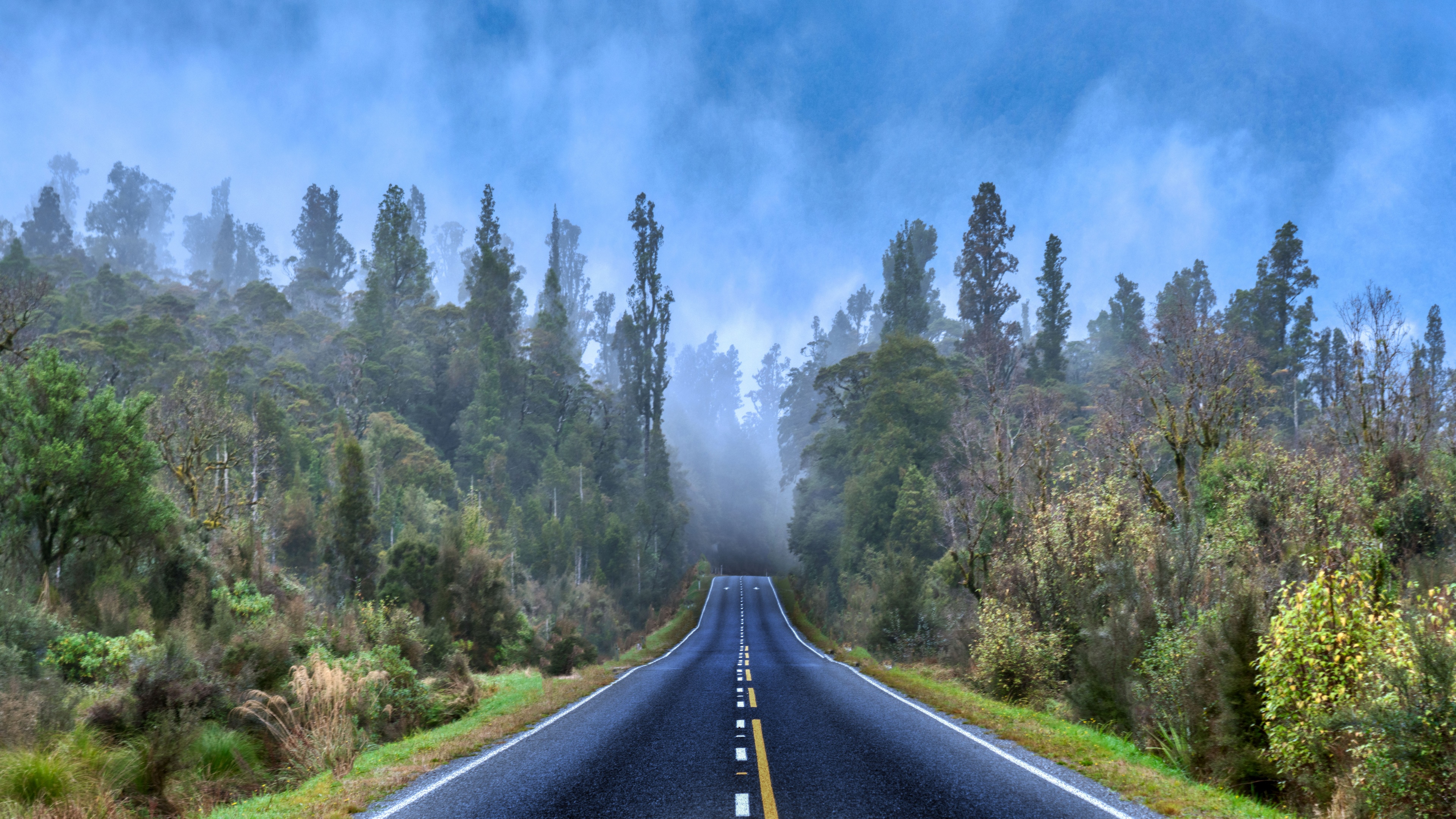 4K road through misty forest by Trey Ratcliff HD Wallpaper