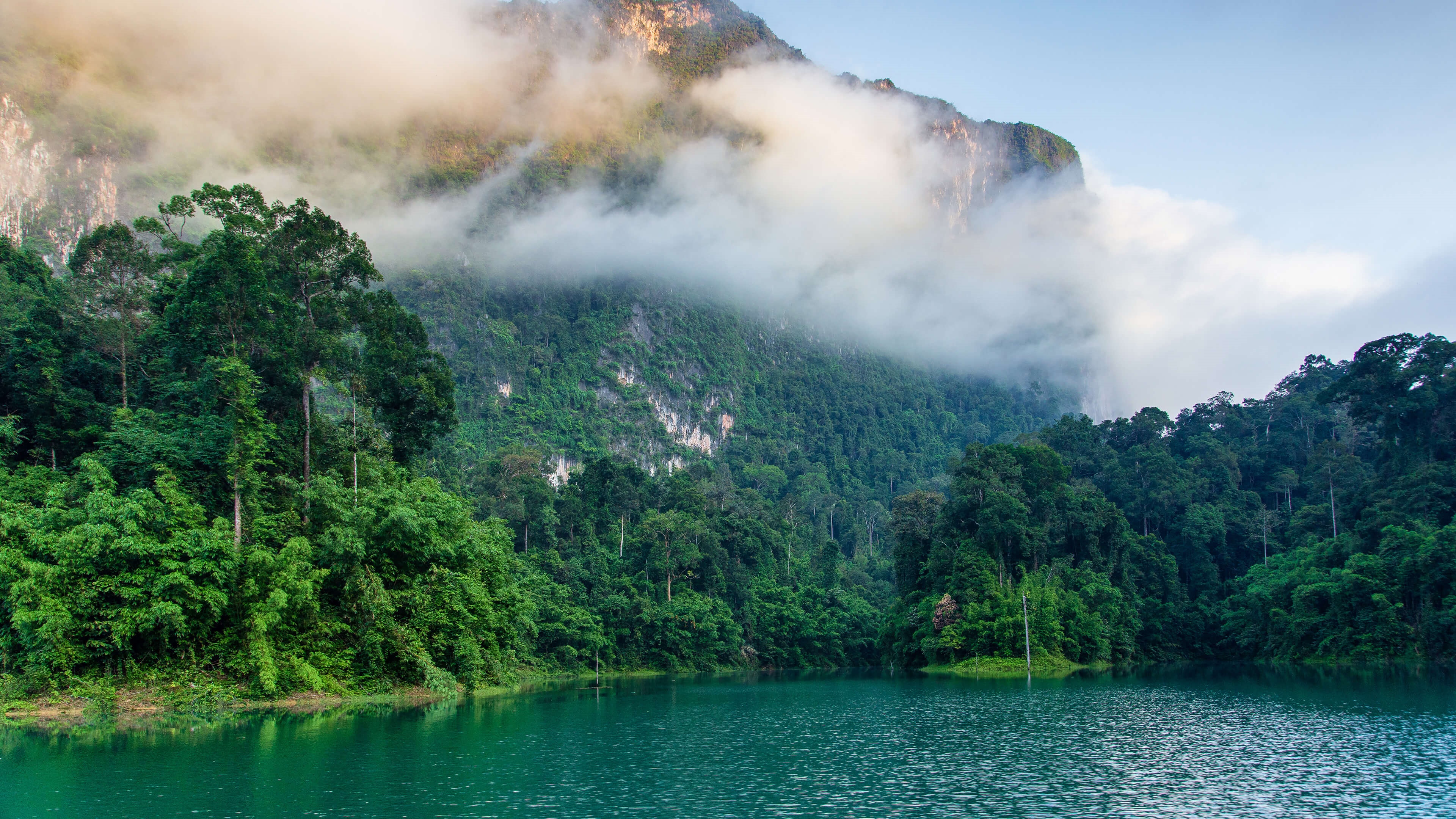 4K misty mountain landscape with a river and trees HD Wallpaper
