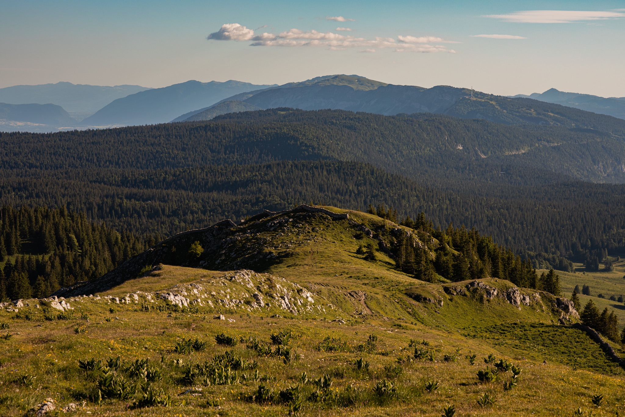 Mountain landscape with forest and grassy hills HD Wallpaper