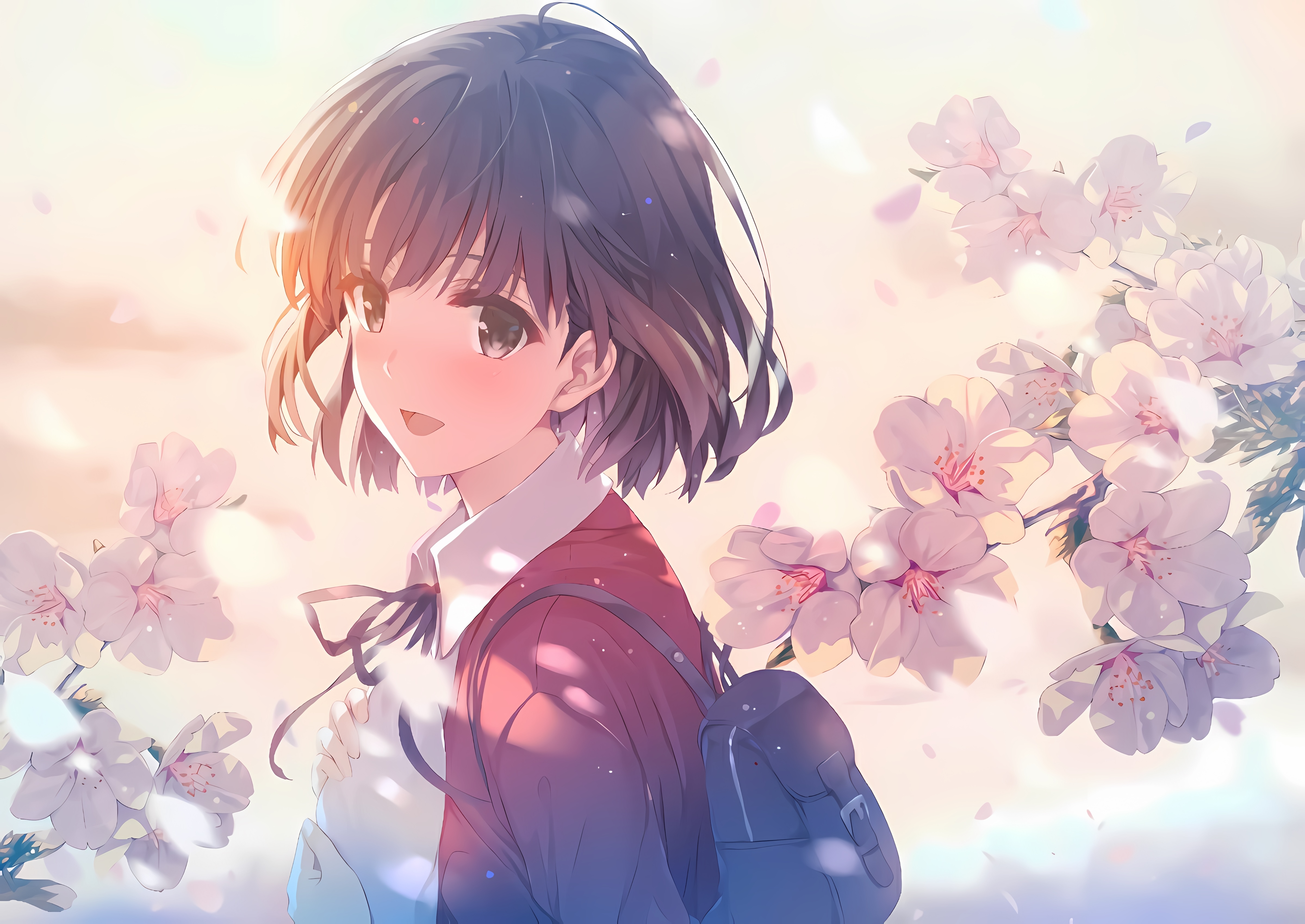 4K Katou Megumi with Cherry Blossoms HD Wallpaper