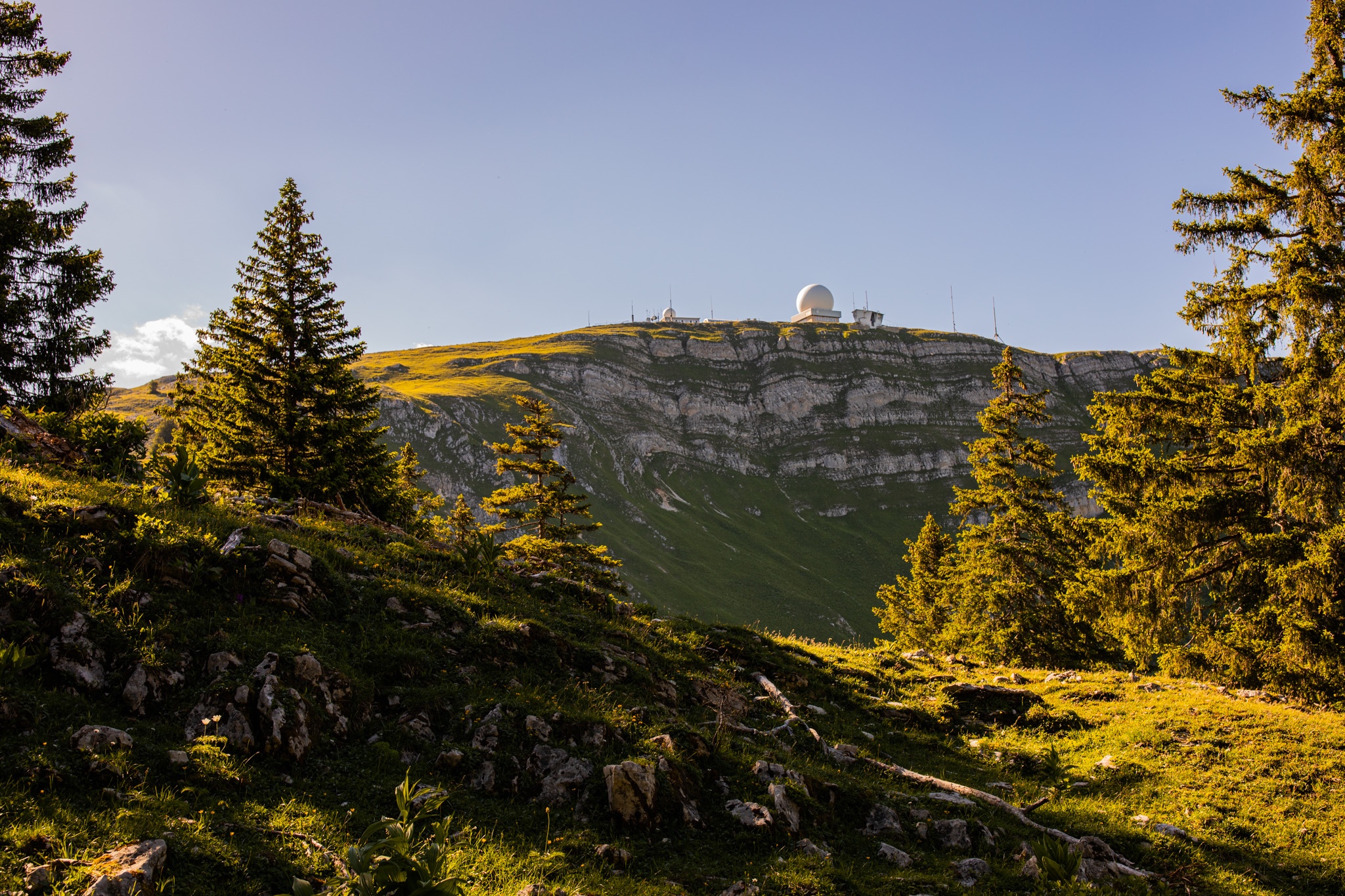 Observatory on a mountain peak with trees in the foreground HD Wallpaper