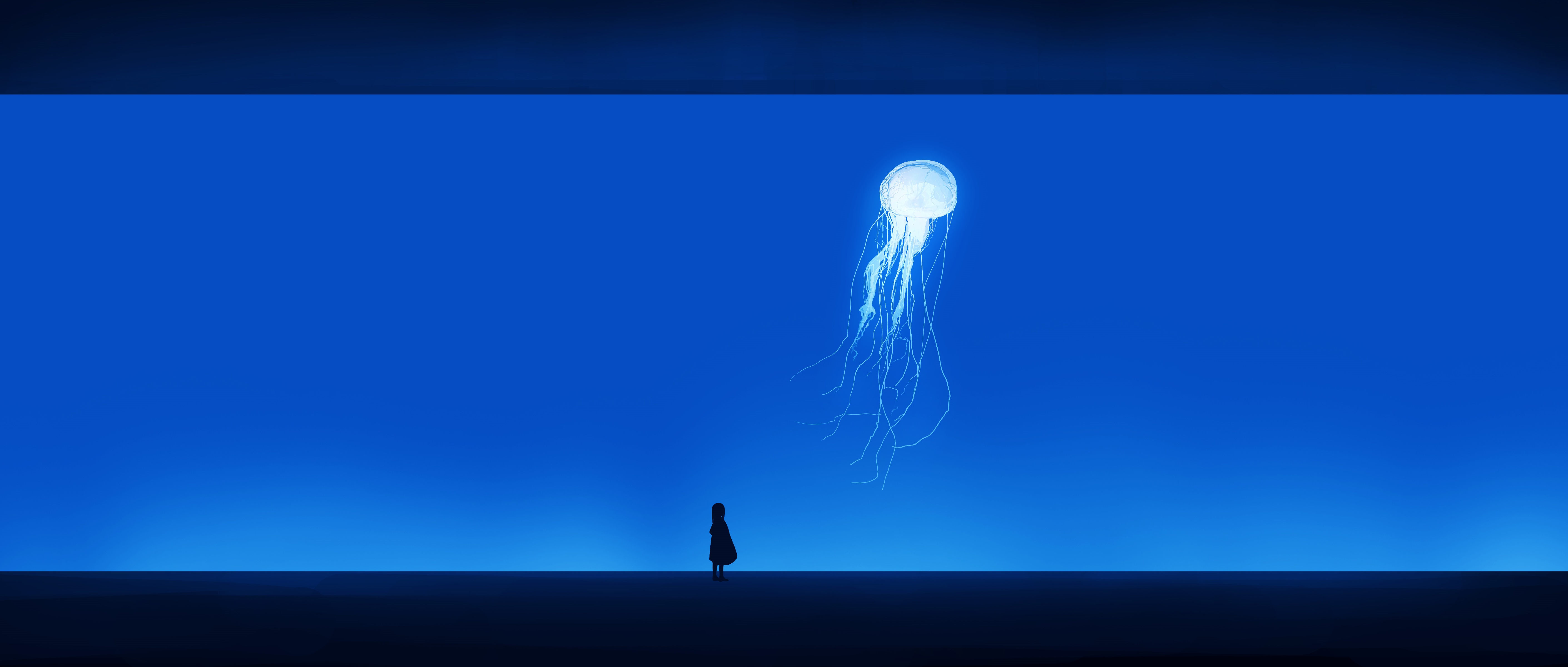 4K jellyfish and silhouette HD Wallpaper