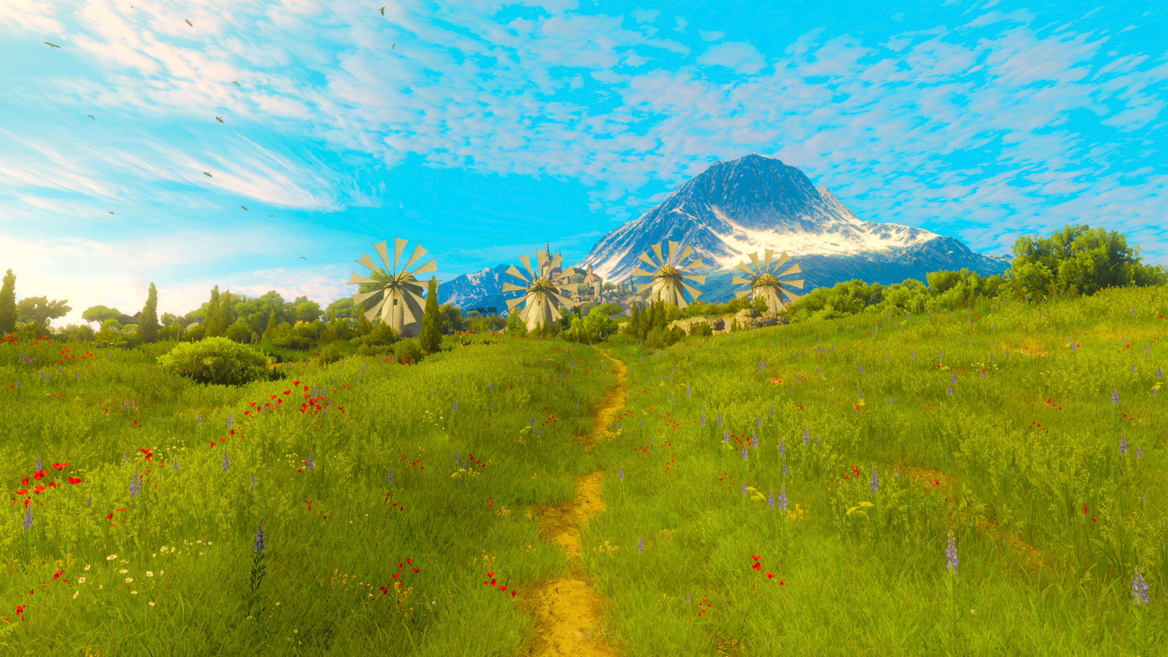 4K The Witcher 3: Wild Hunt Blood and Wine landscape HD Wallpaper