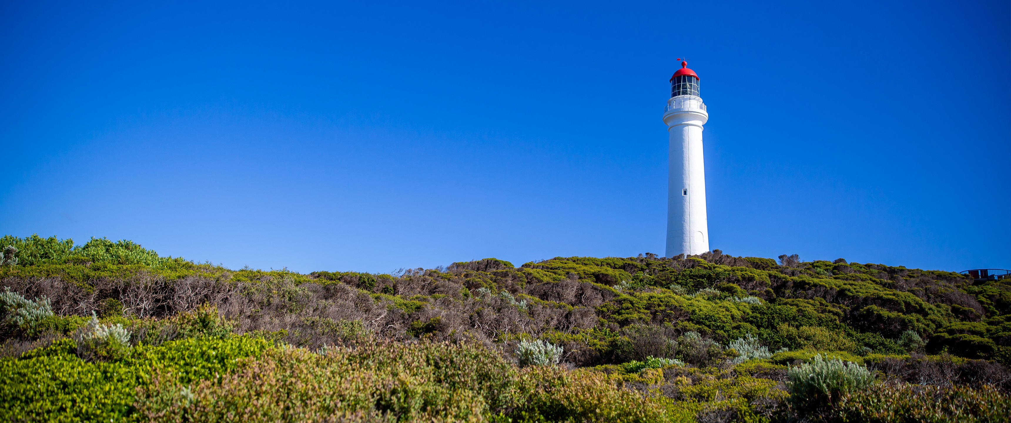 White lighthouse on a hill in Melbourne, Australia HD Wallpaper