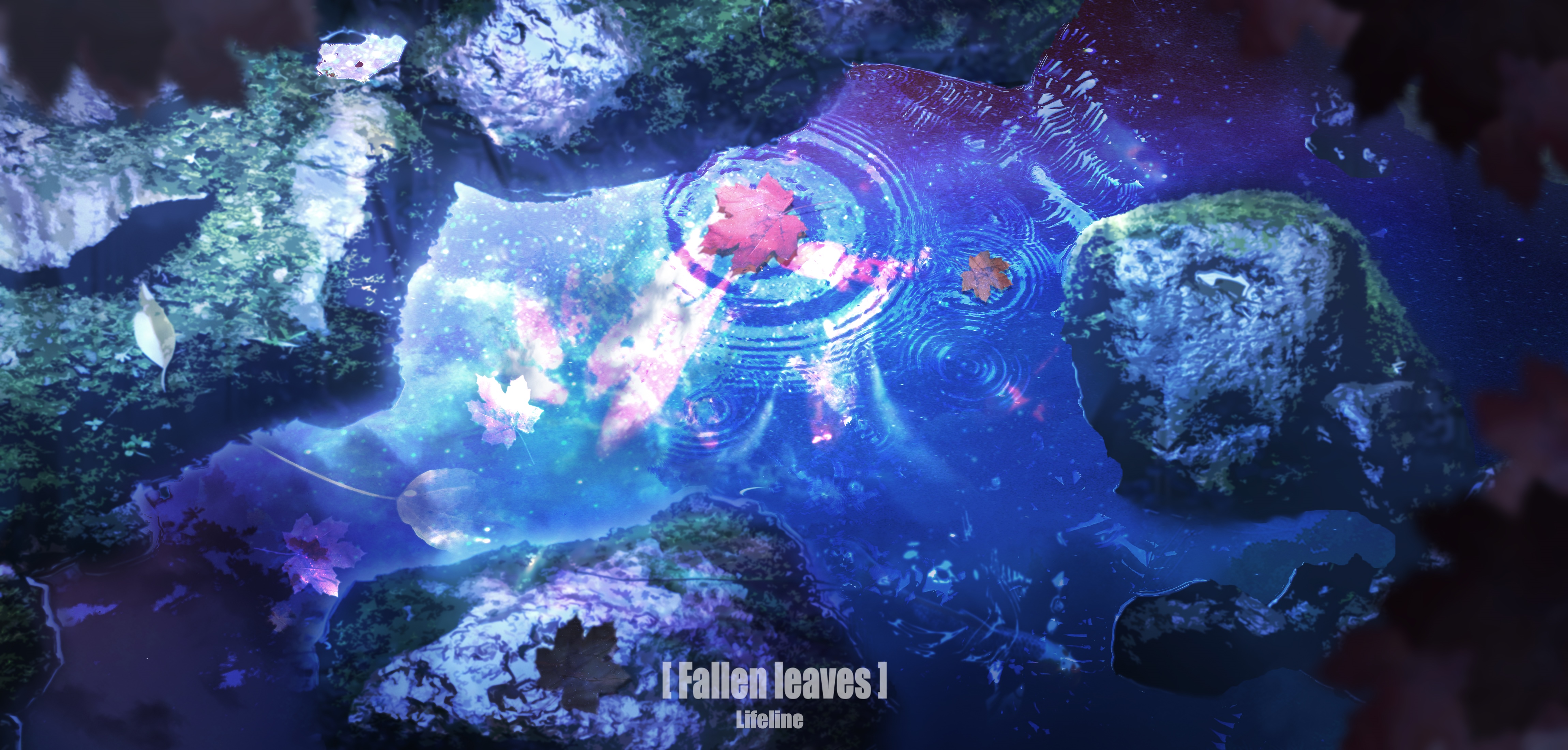 Fallen leaves on water with rocks and galaxy HD Wallpaper