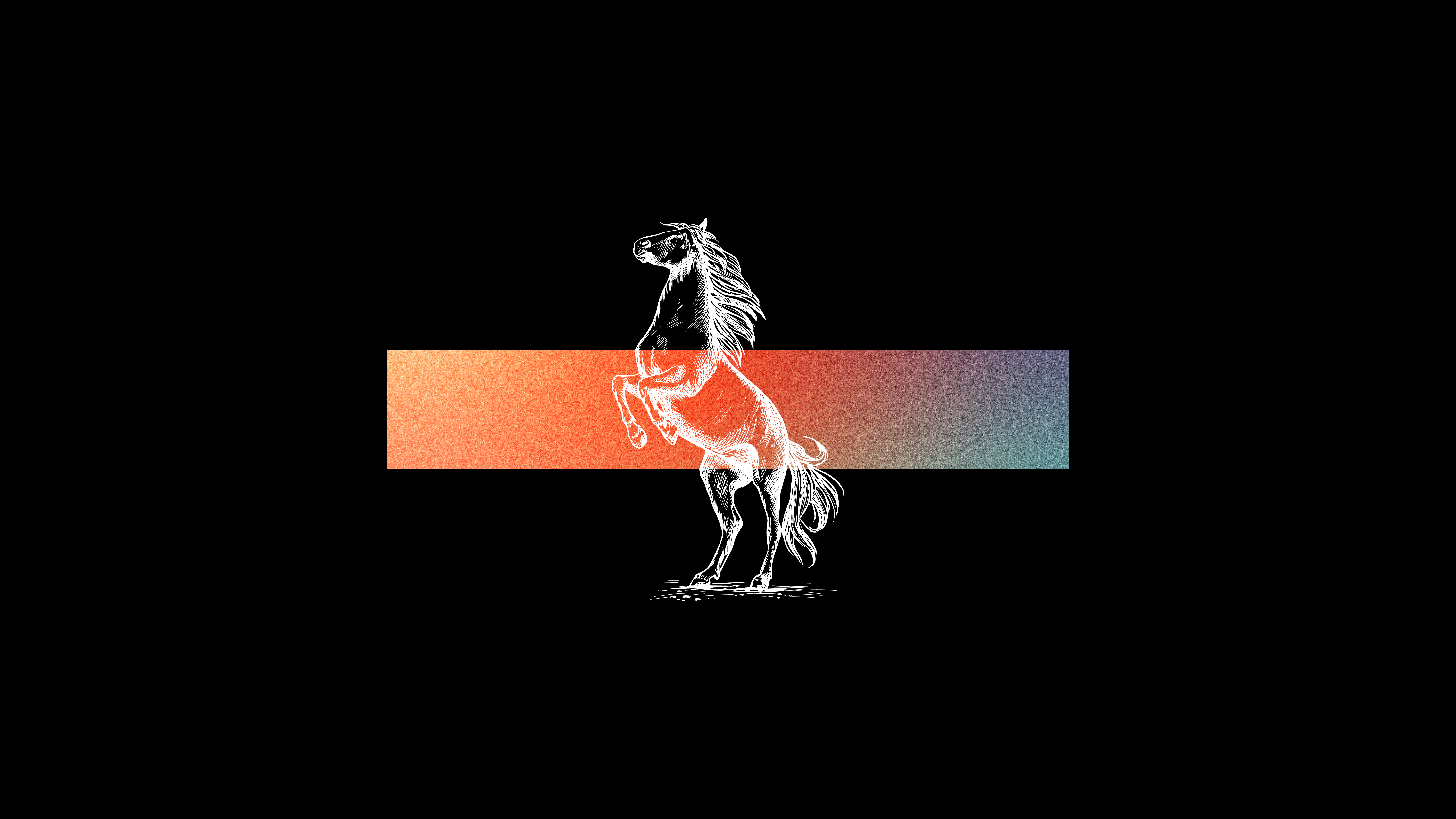 Horse rearing up over a gradient bar HD Wallpaper