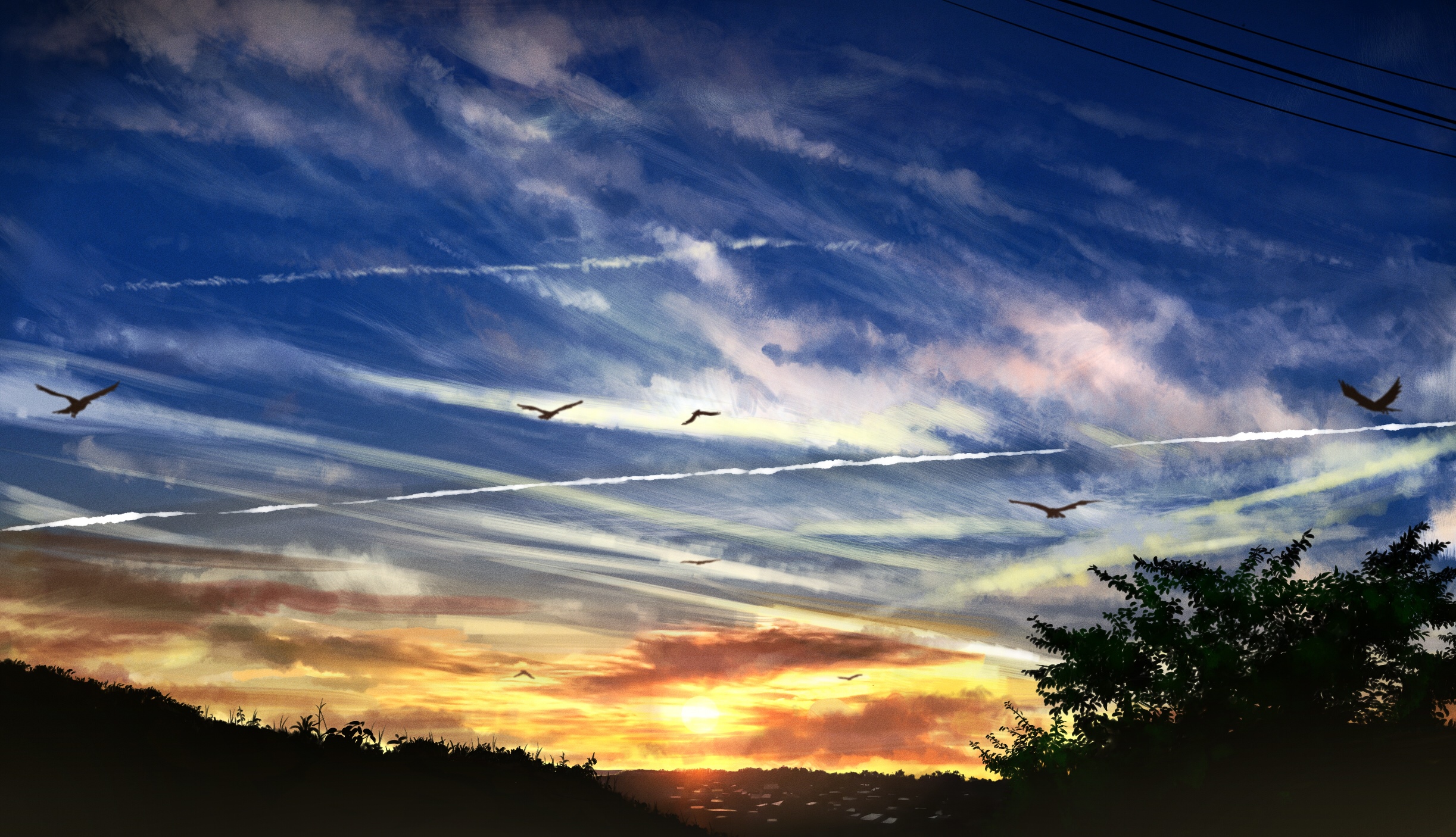 Birds flying in the sky at sunset HD Wallpaper
