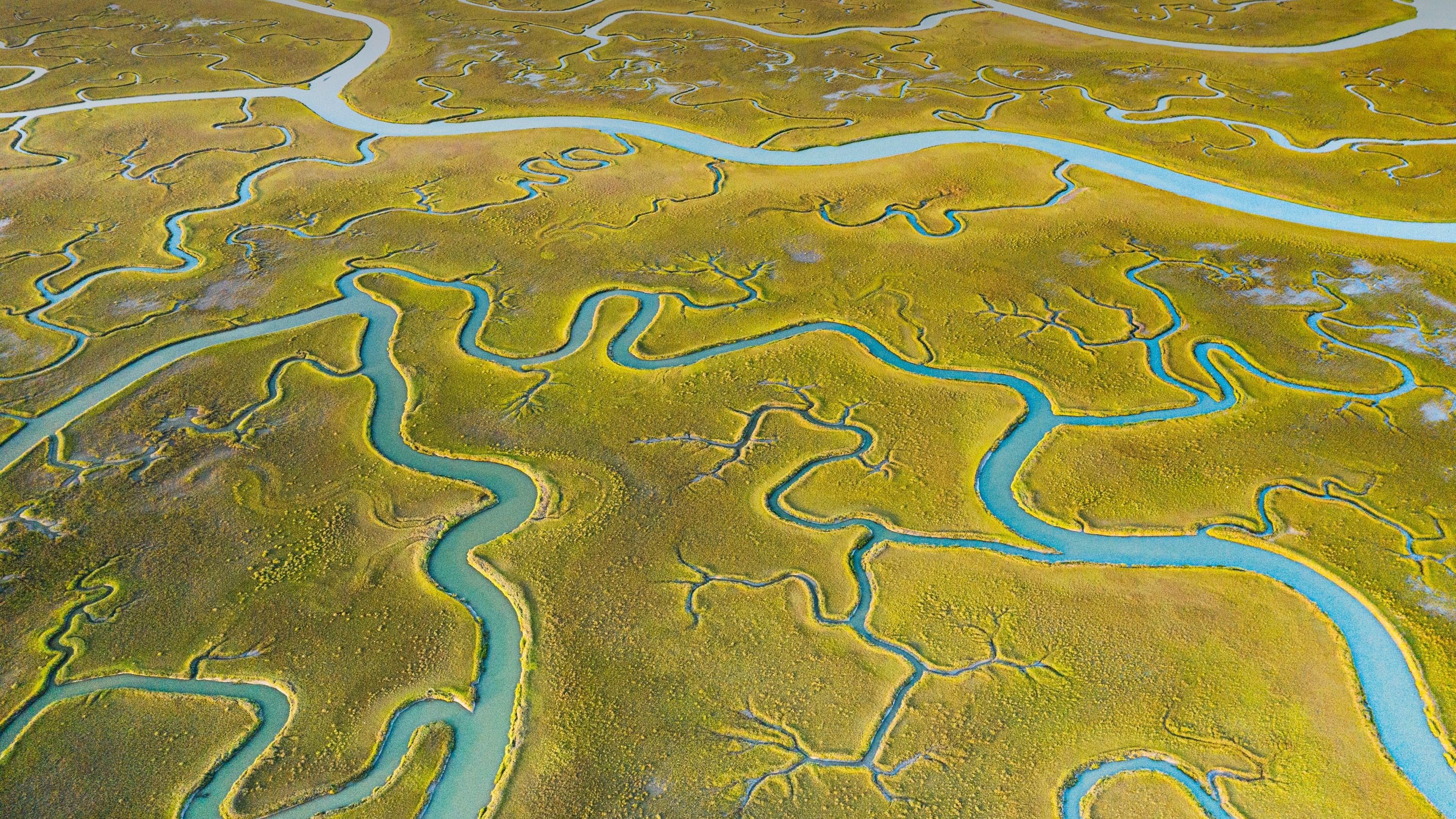 Aerial view of winding rivers on Mockhorn Island, Virginia HD Wallpaper