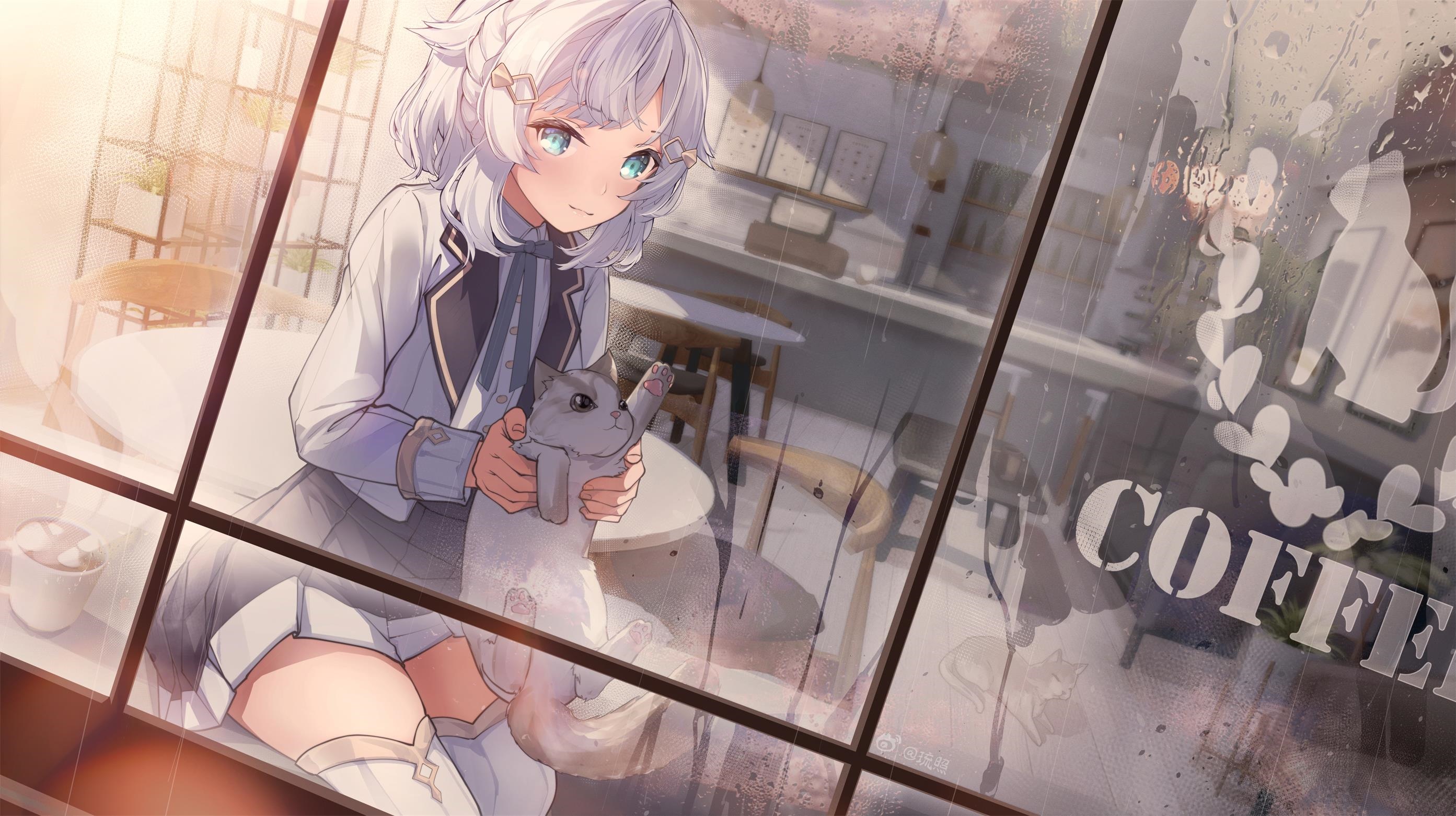 Anime girl holding a cat by a window HD Wallpaper