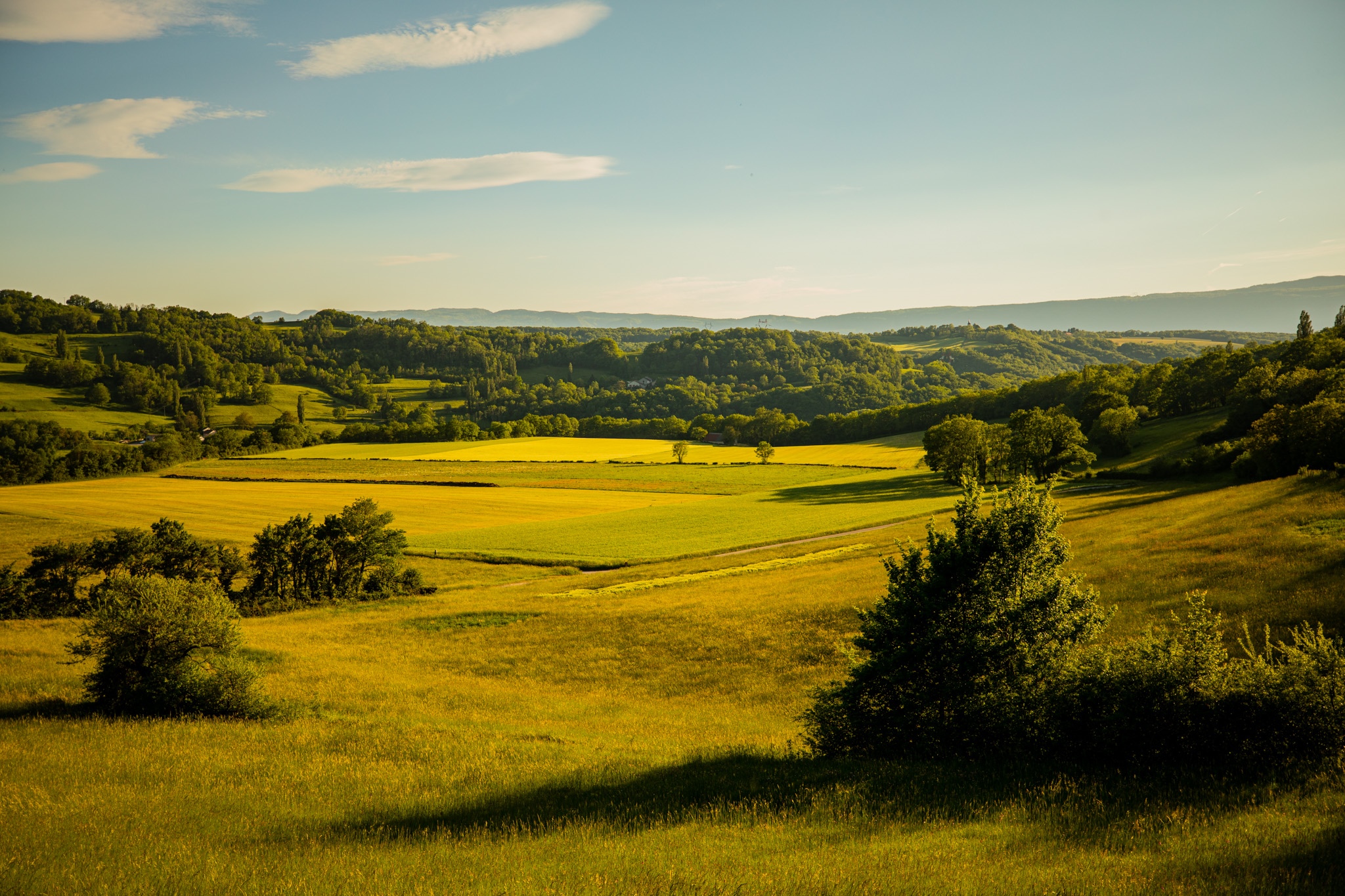 Rolling green hills and yellow fields under a blue sky HD Wallpaper