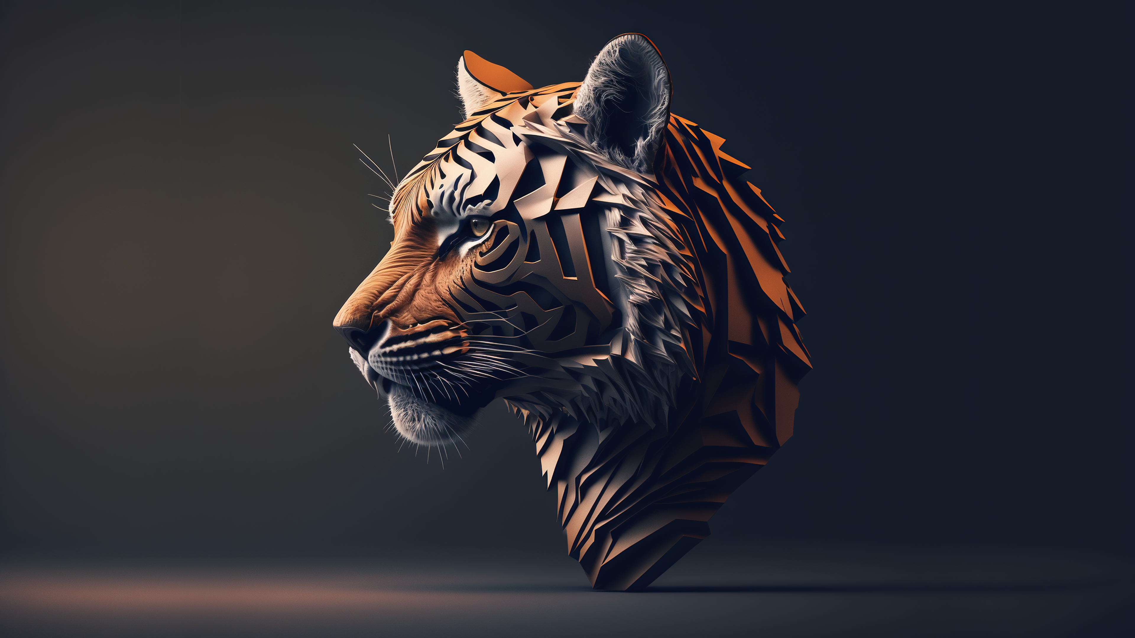 4K Tiger Head Profile HD Wallpaper