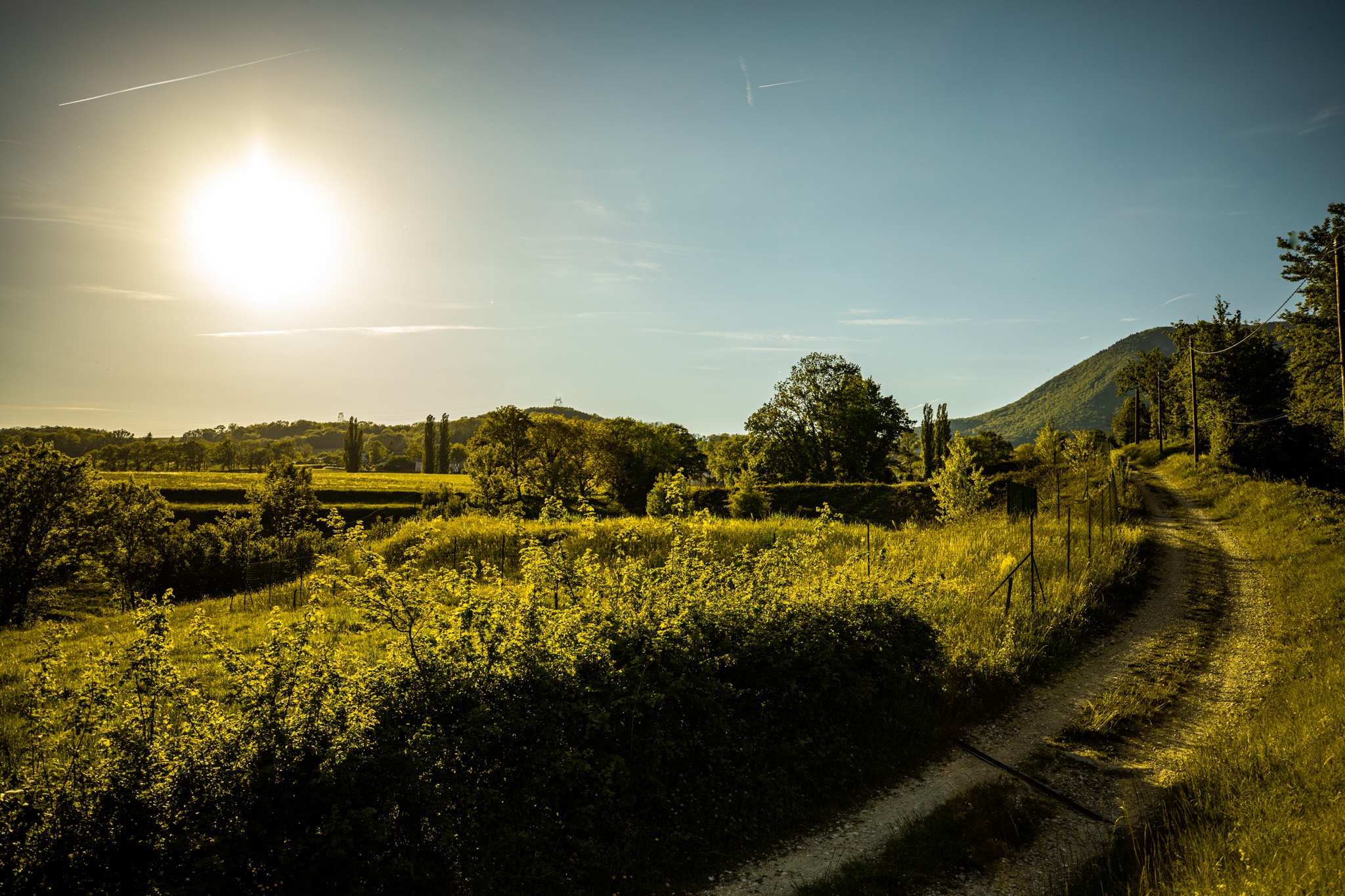 Sunlight over a rural landscape with a dirt road HD Wallpaper