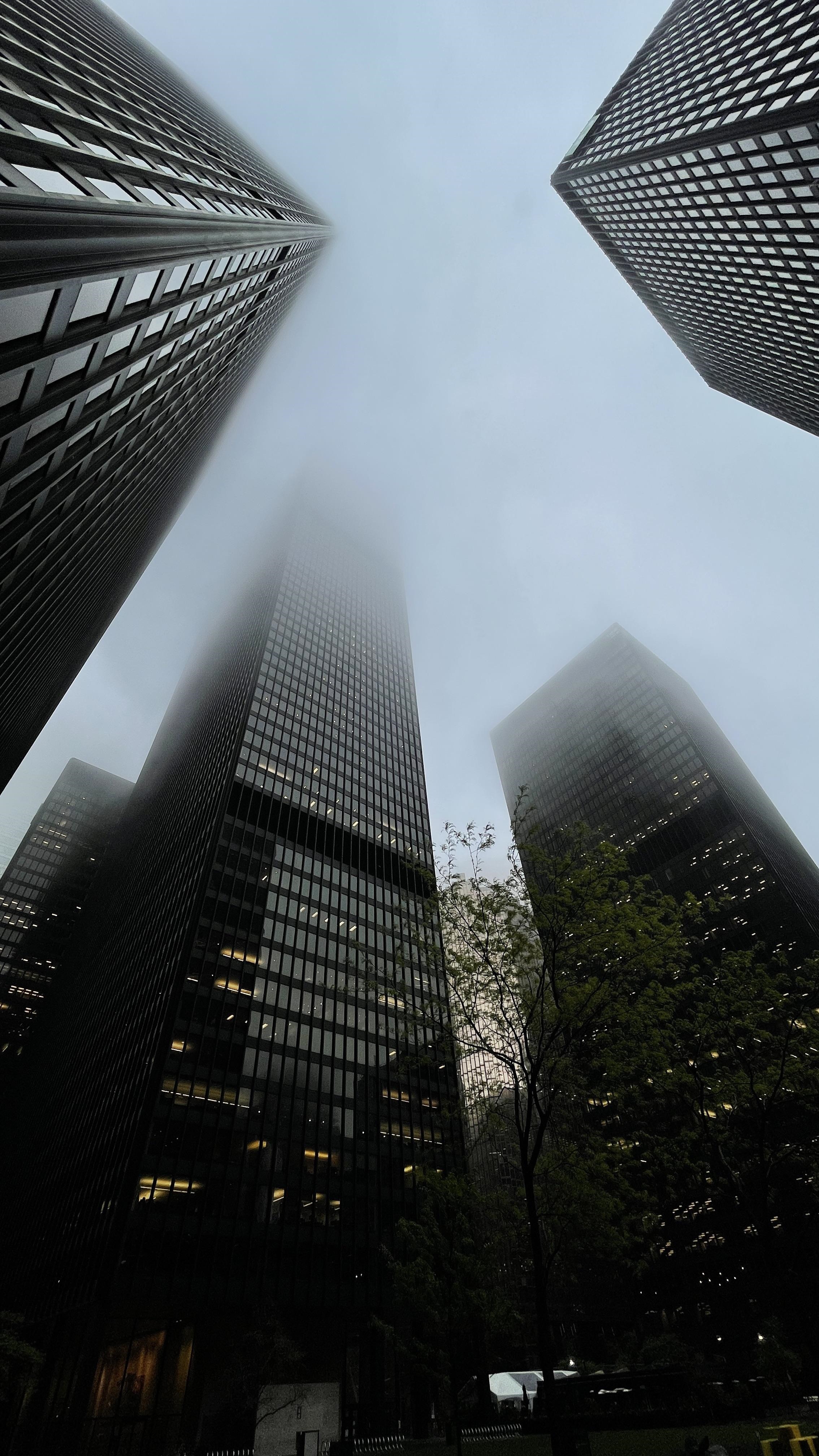 Skyscrapers in Toronto shrouded in fog HD Phone Wallpaper