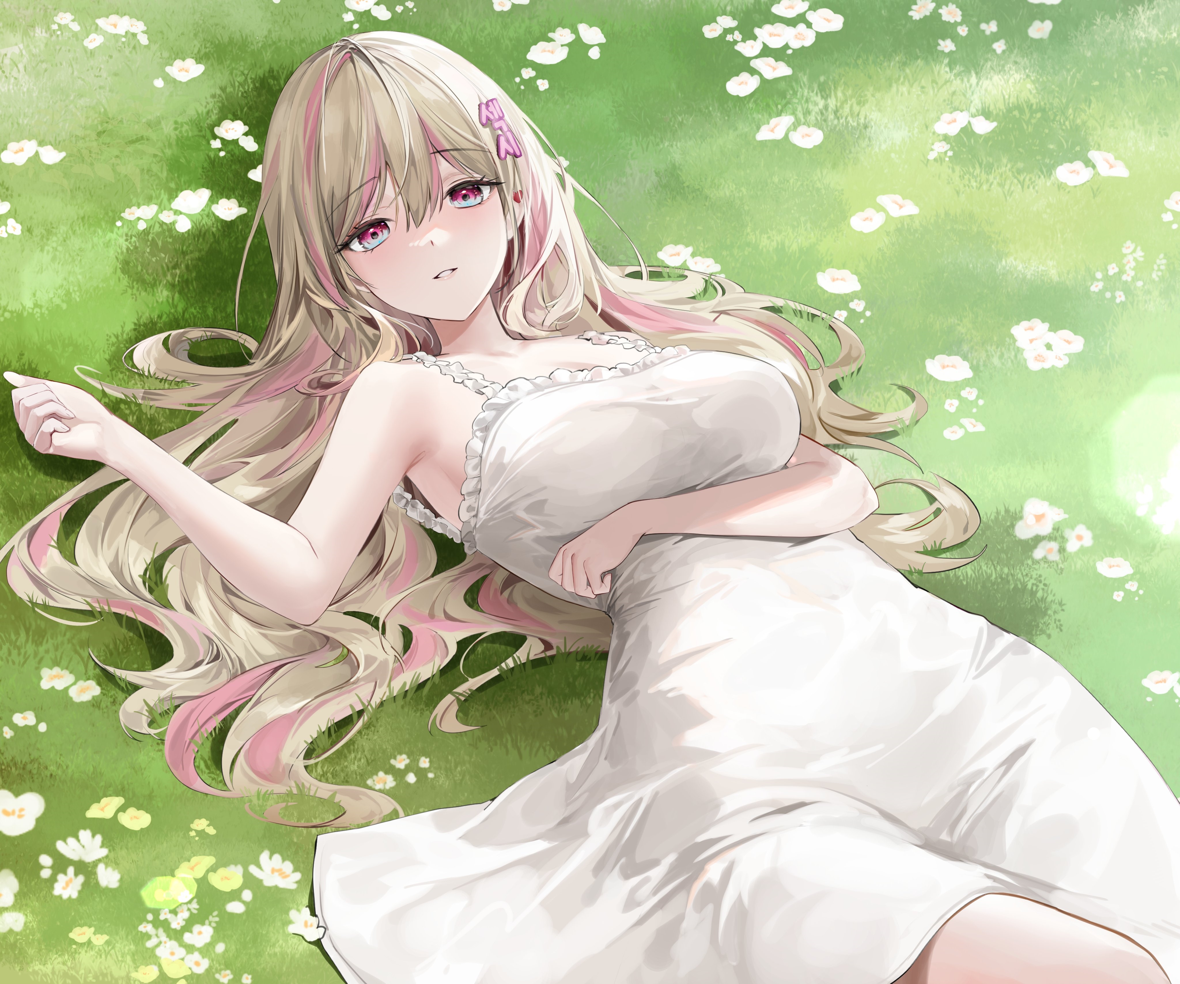 Girl with blonde and pink hair lying on grass HD Wallpaper