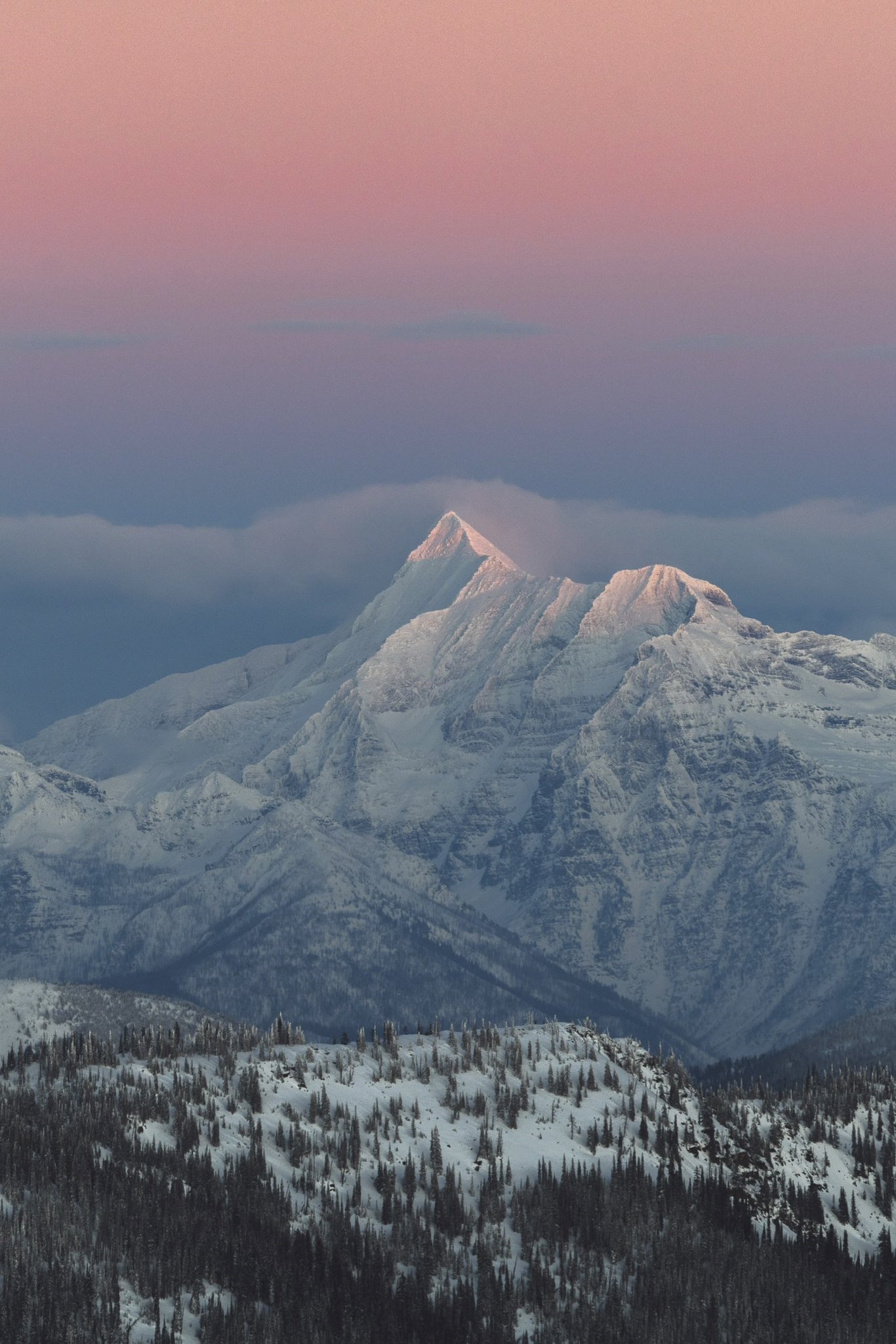 Snowy mountain peaks at sunrise with pine forest HD Phone Wallpaper