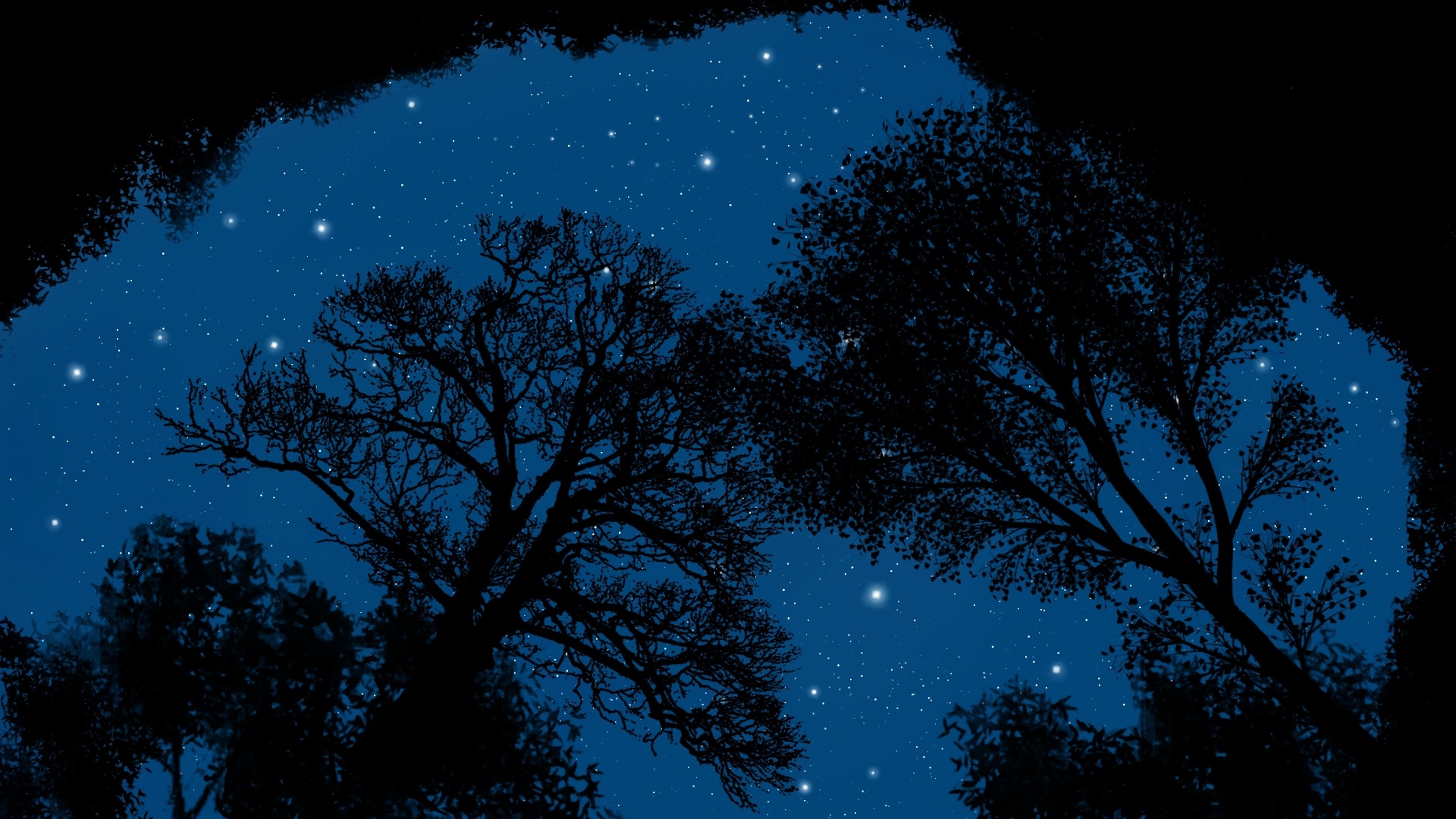 Silhouette of trees against a starry night sky HD Wallpaper