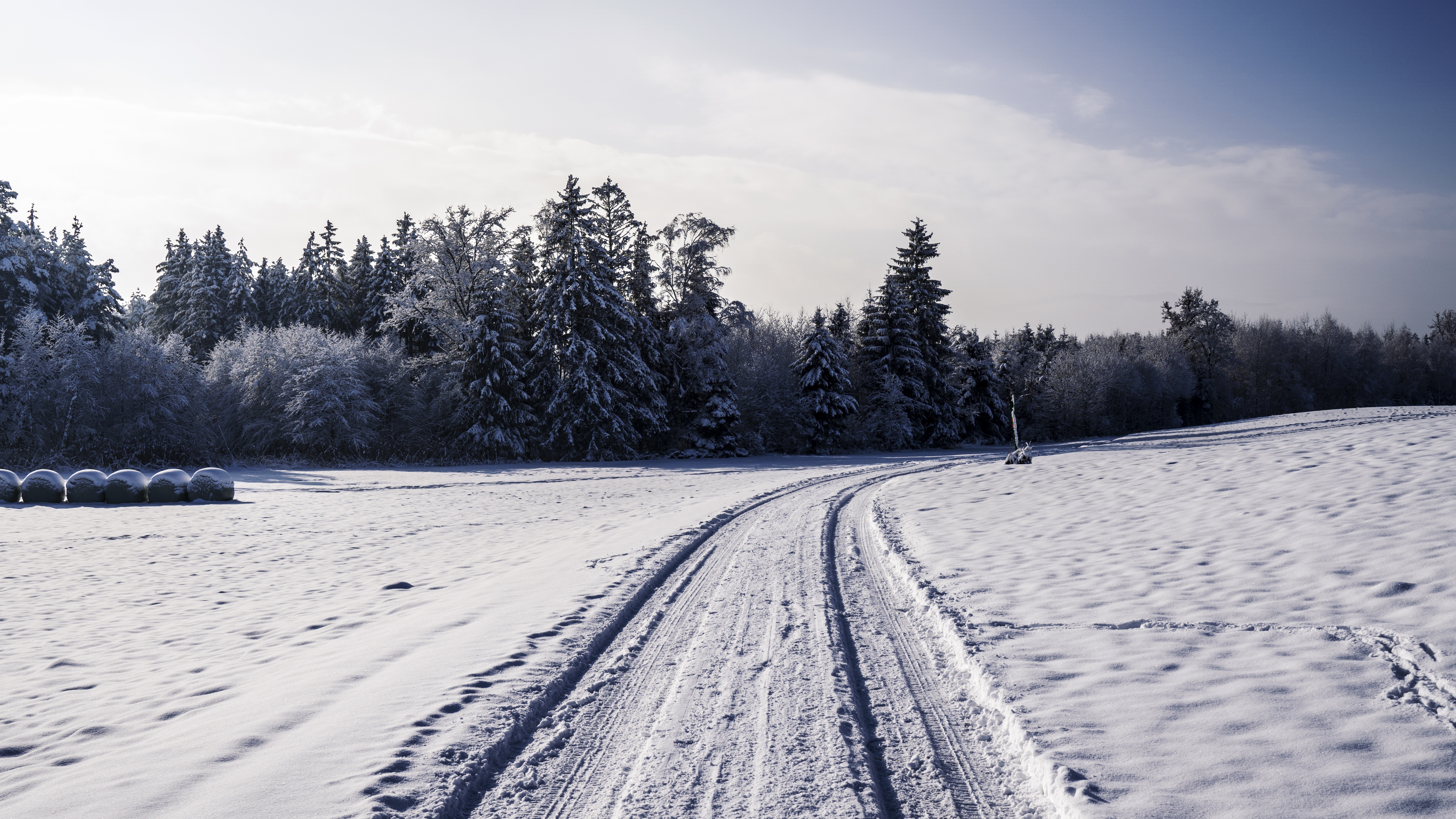 Winter landscape with snow-covered trees and a path HD Wallpaper