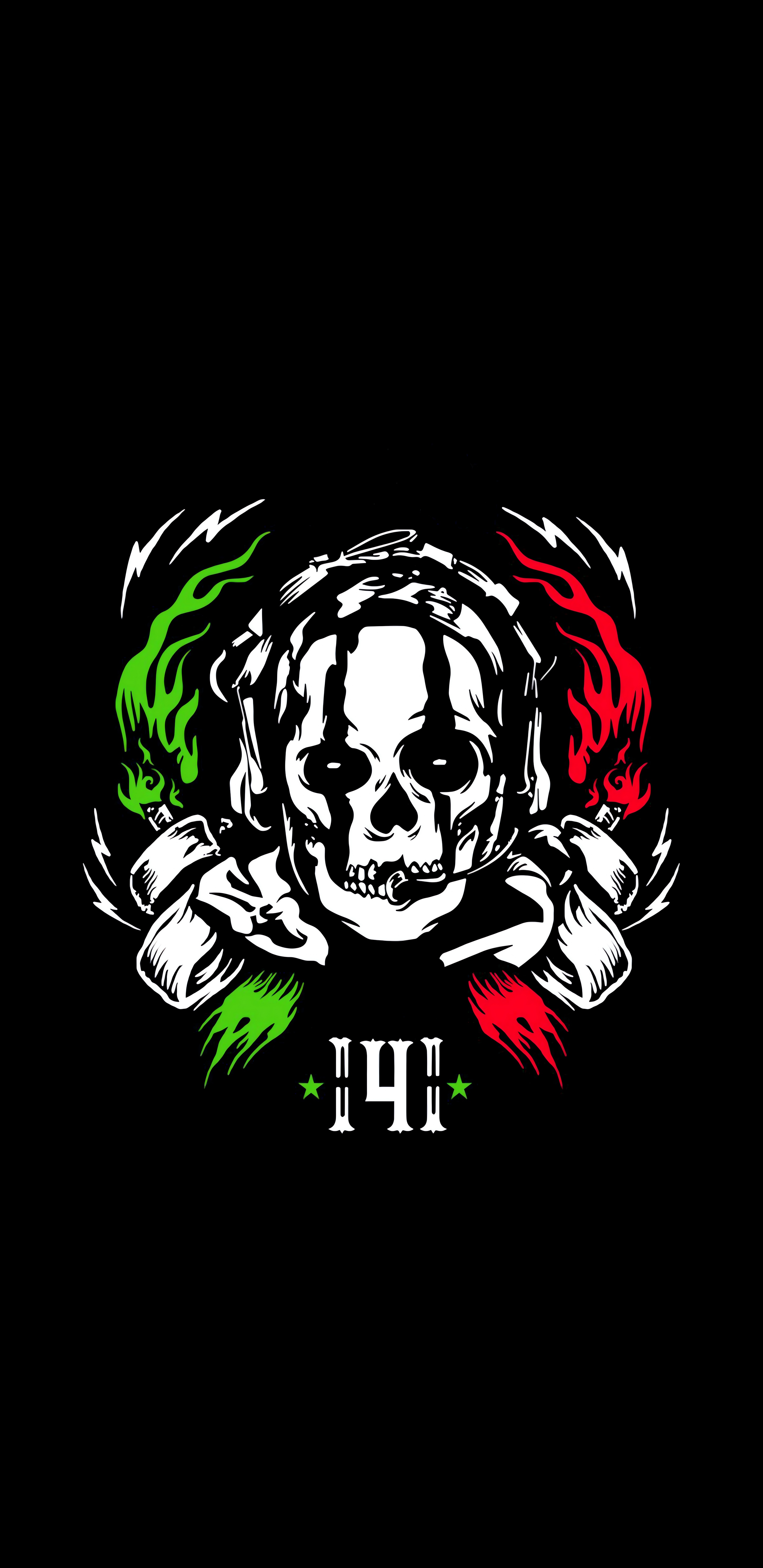 Call of Duty Task Force 141 Skull Logo HD Phone Wallpaper