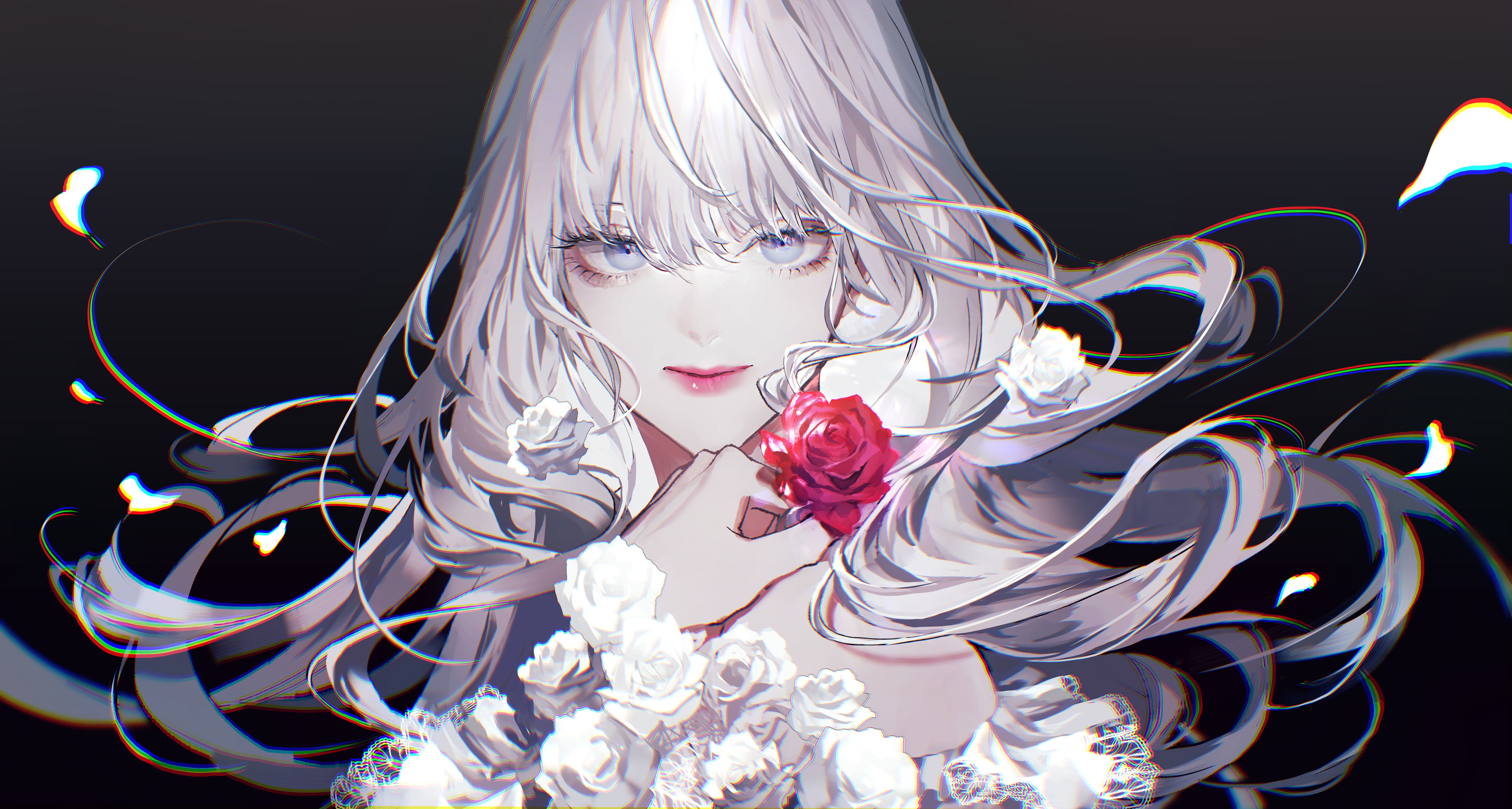 4K anime girl with white hair and blue eyes holding a rose HD Wallpaper