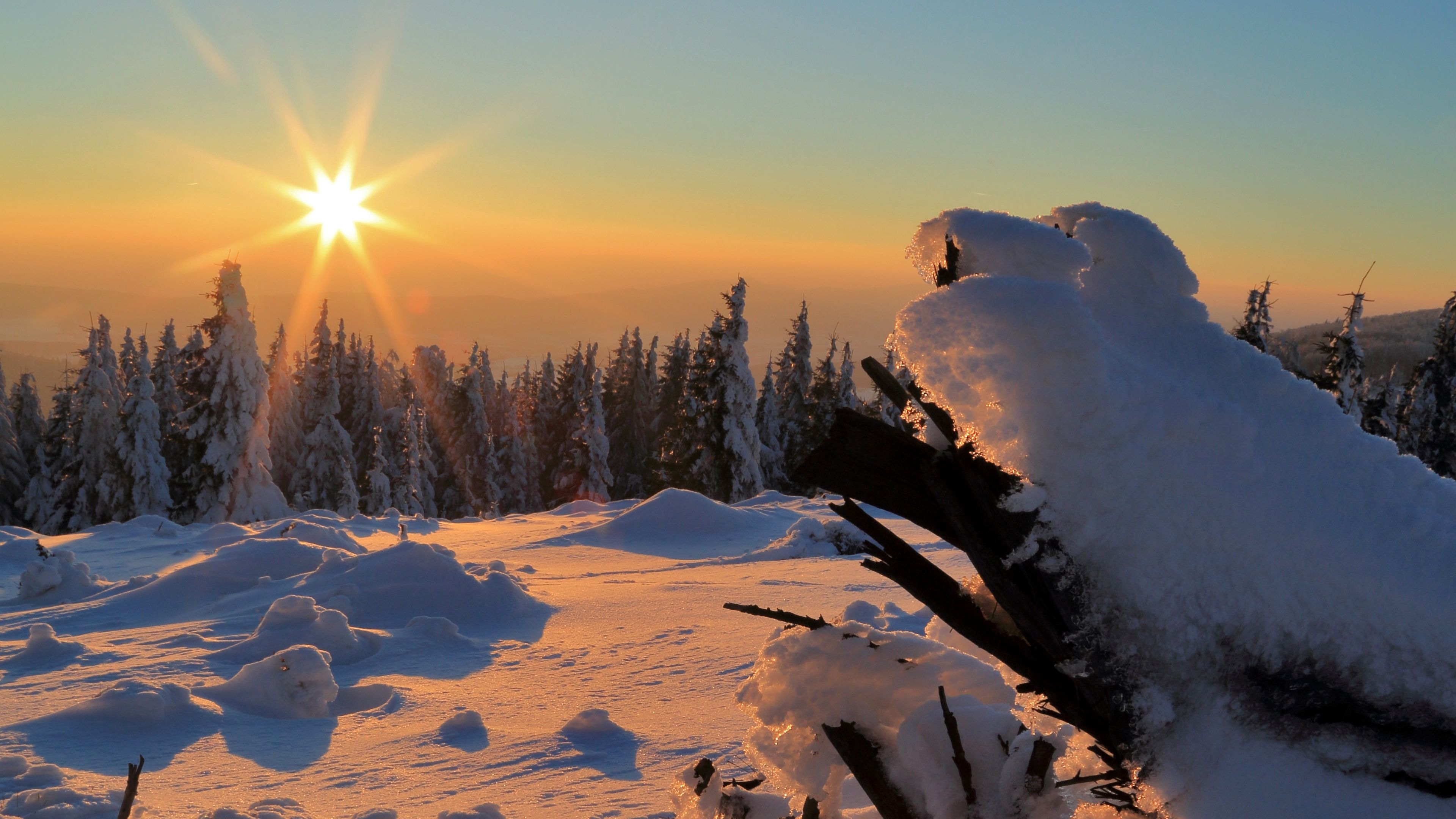 4K sunset over snowy forest with sun rays HD Wallpaper