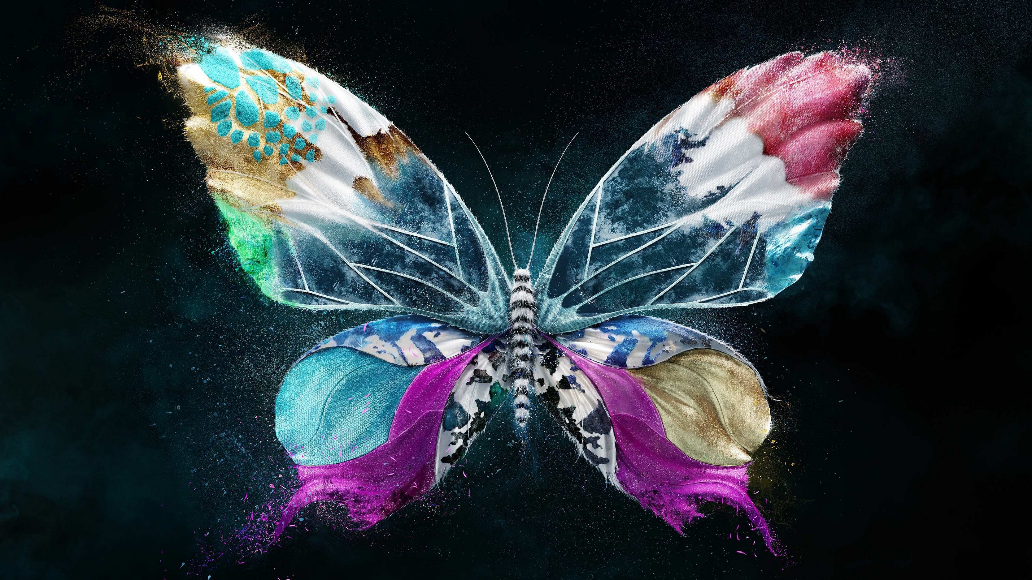 Abstract butterfly with colorful wings on dark background HD Wallpaper