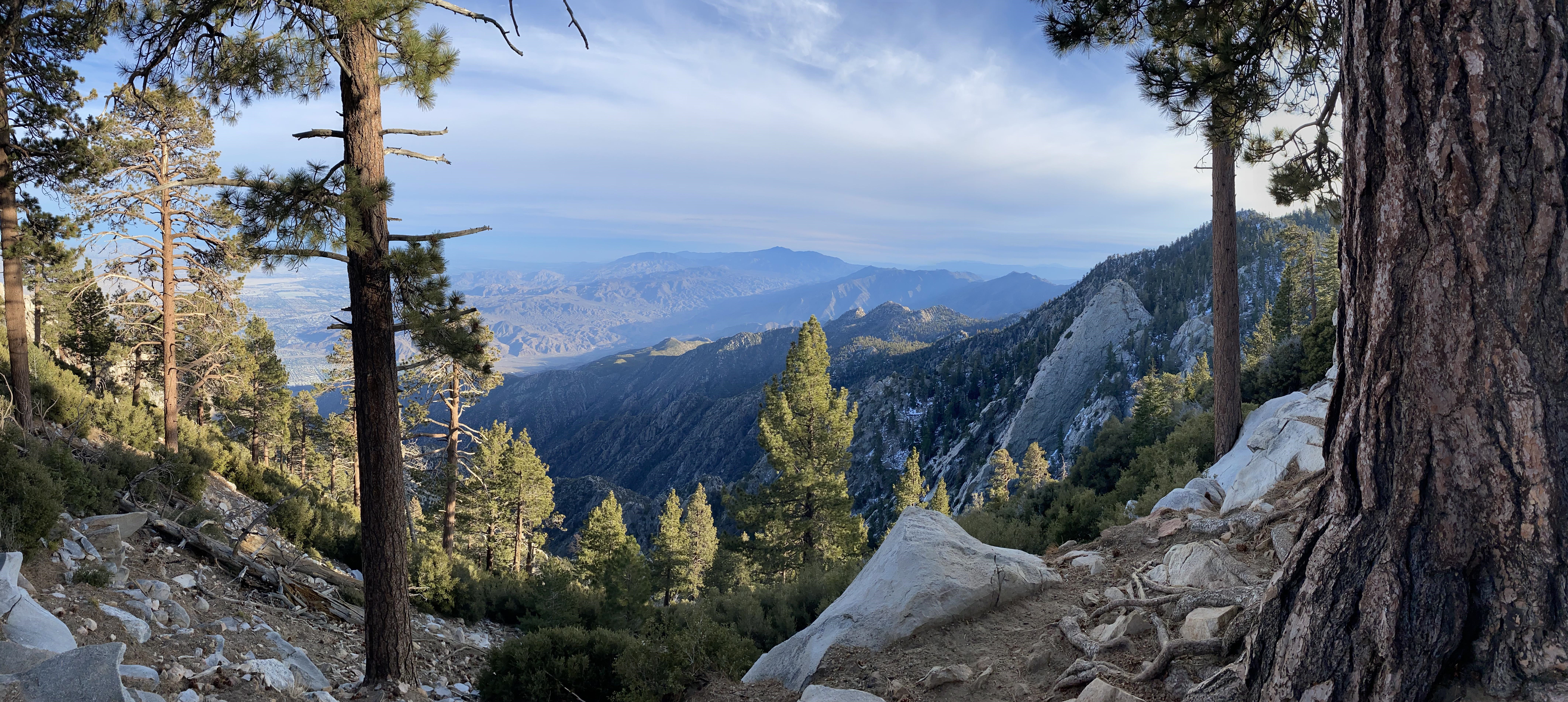 California Mountains Landscape with Pine Trees HD Wallpaper