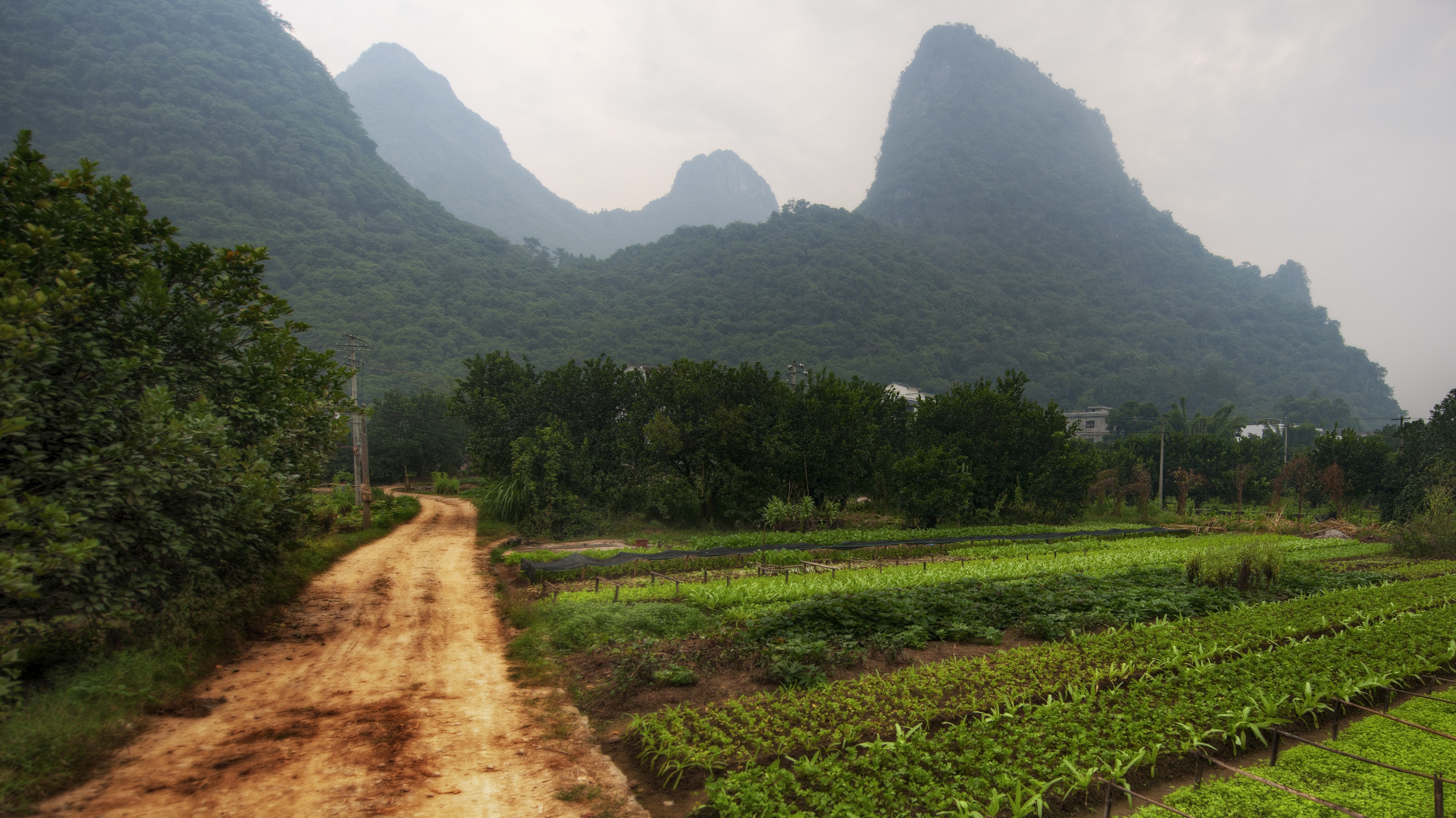Misty Mountains and Farmland in China HD Wallpaper
