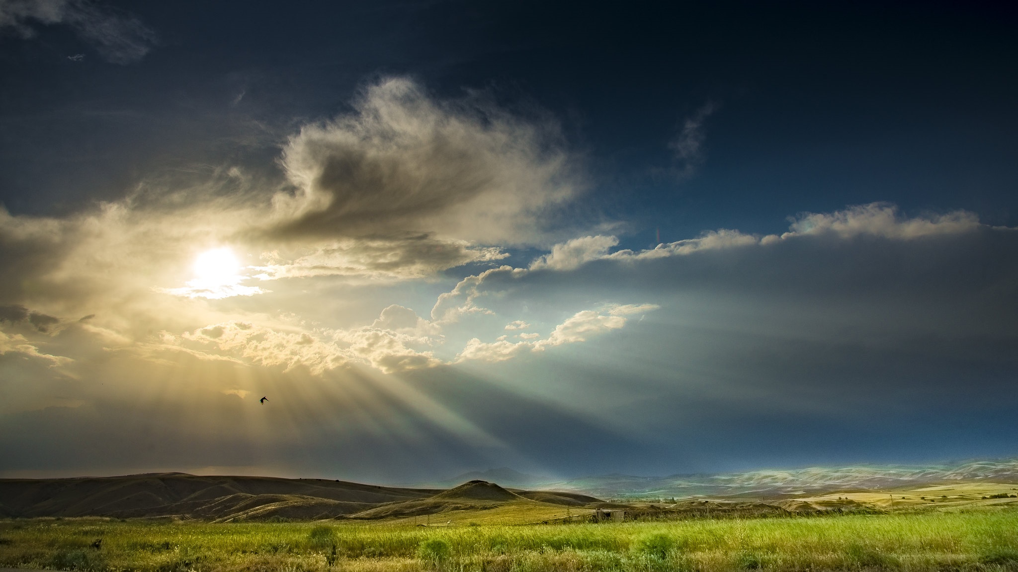 Sunlight beams through clouds over a grassy field HD Wallpaper