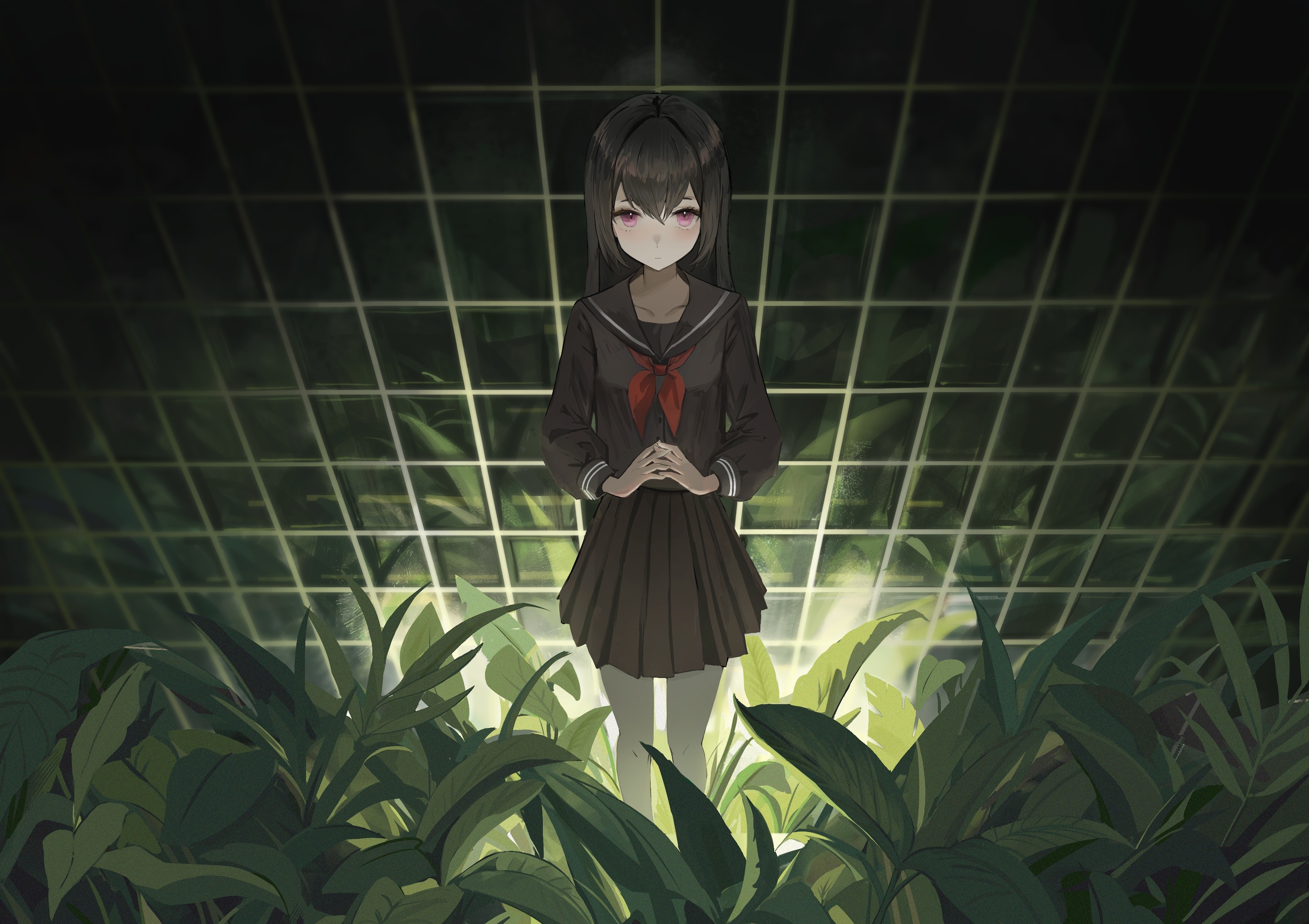 Anime schoolgirl with purple eyes in a greenhouse HD Wallpaper
