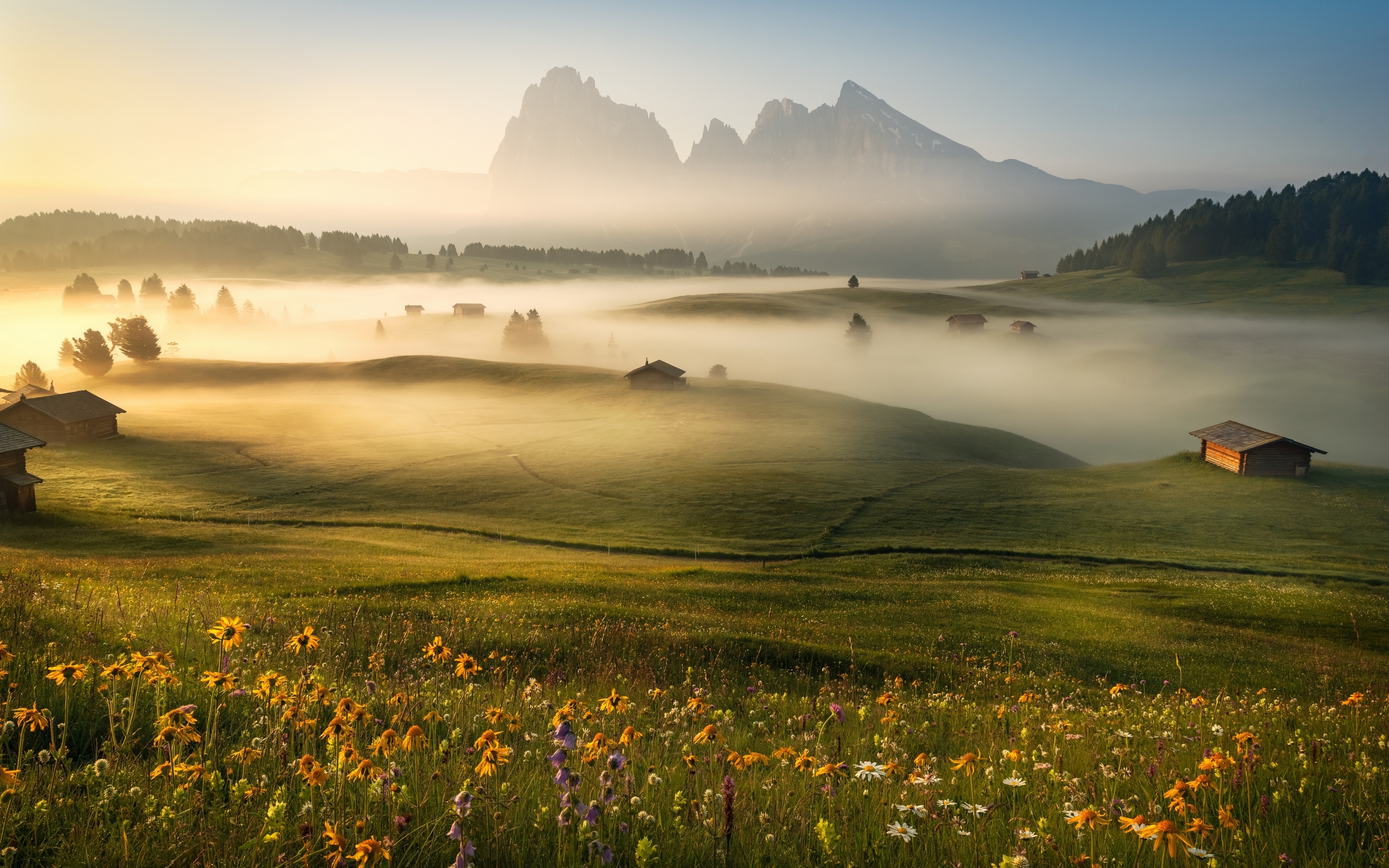 4K Dolomites landscape with mist and flowers HD Wallpaper