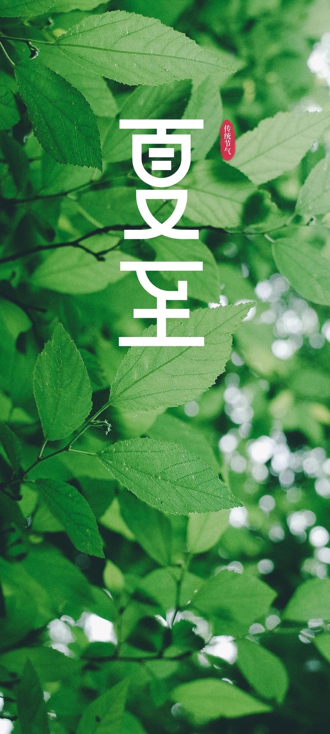 Summer Solstice traditional Chinese solar term HD Phone Wallpaper