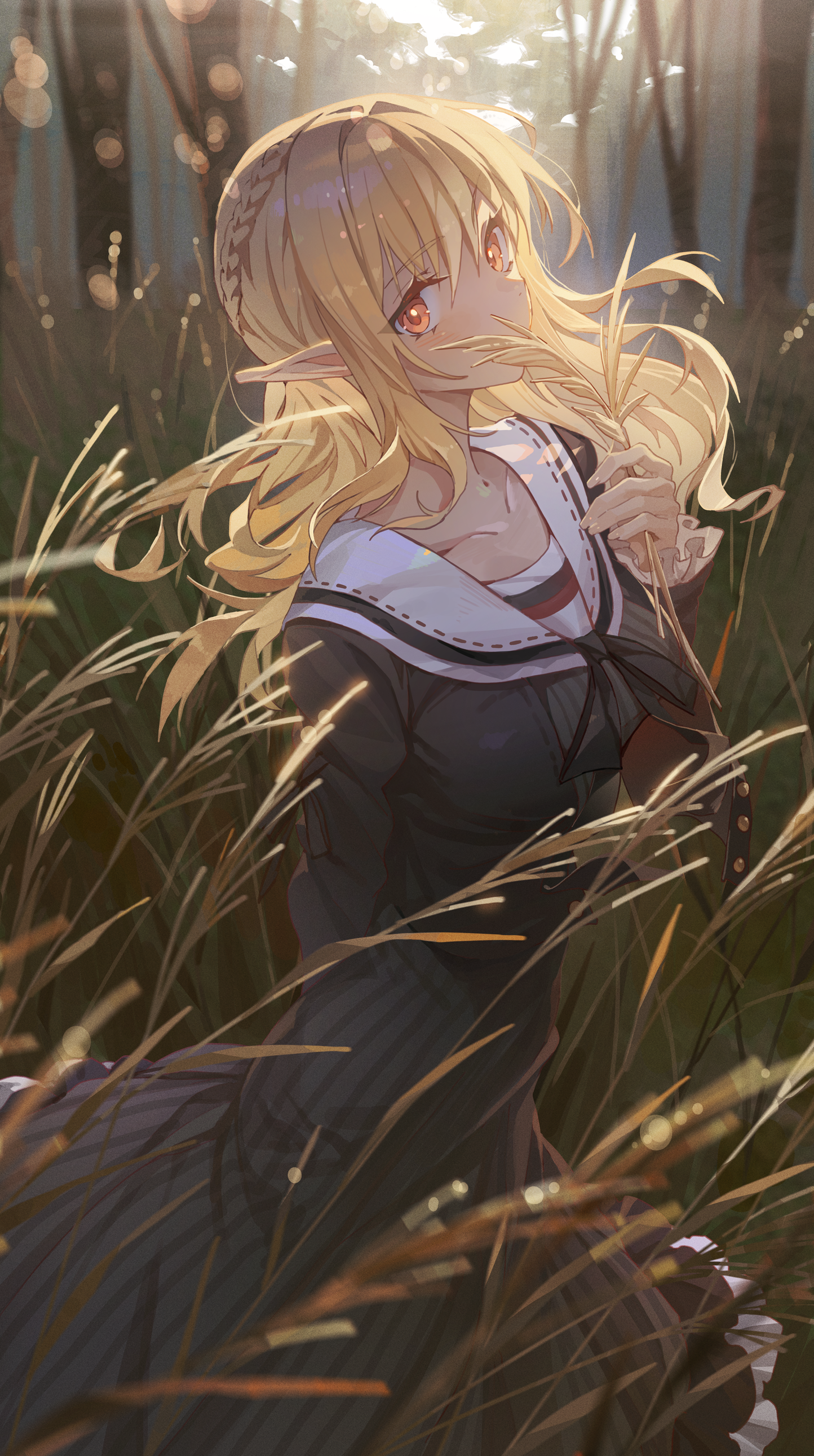 Shiranui Flare in a field of pampas grass HD Phone Wallpaper