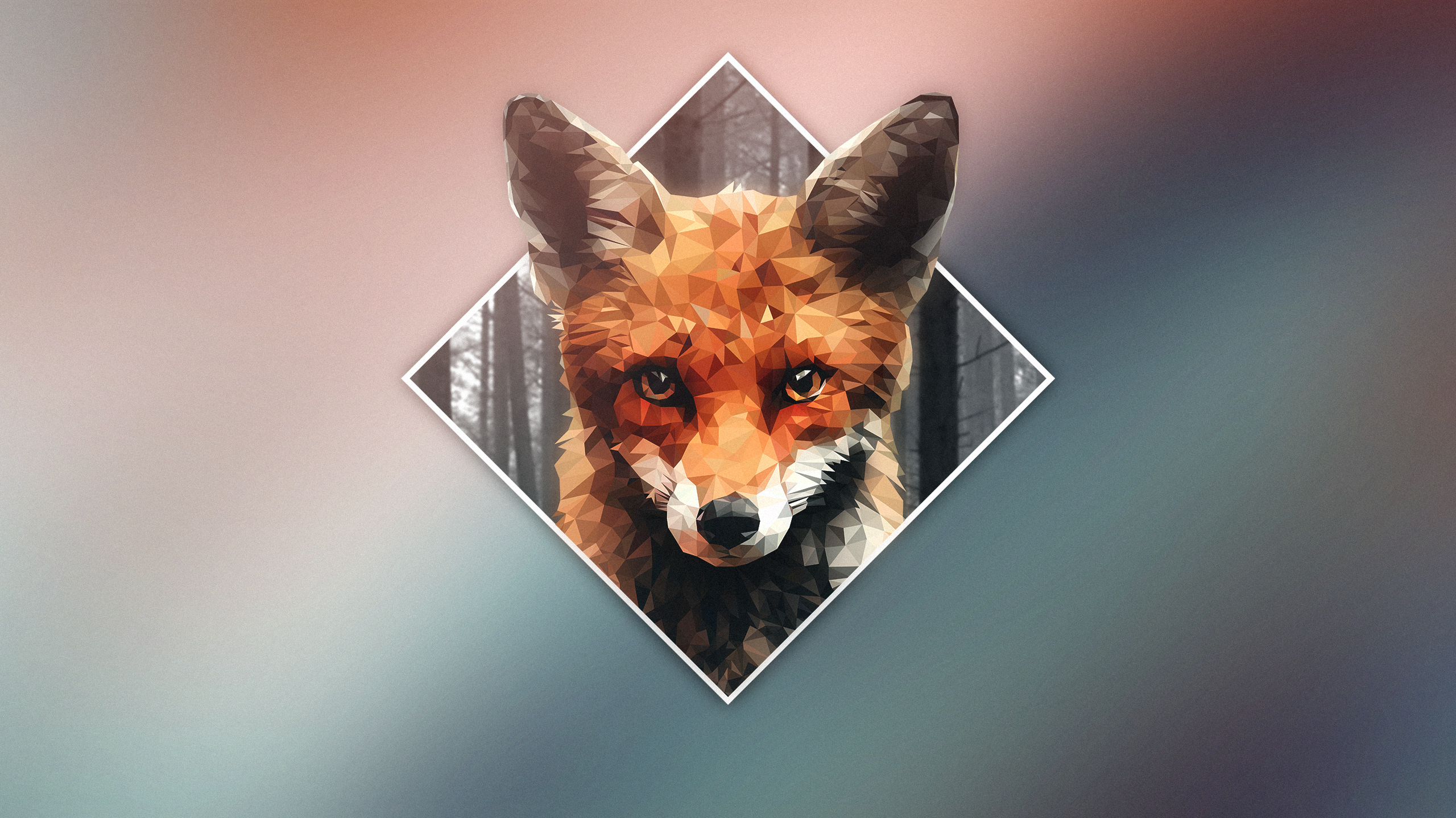 Low Poly Fox Portrait in Geometric Frame HD Wallpaper