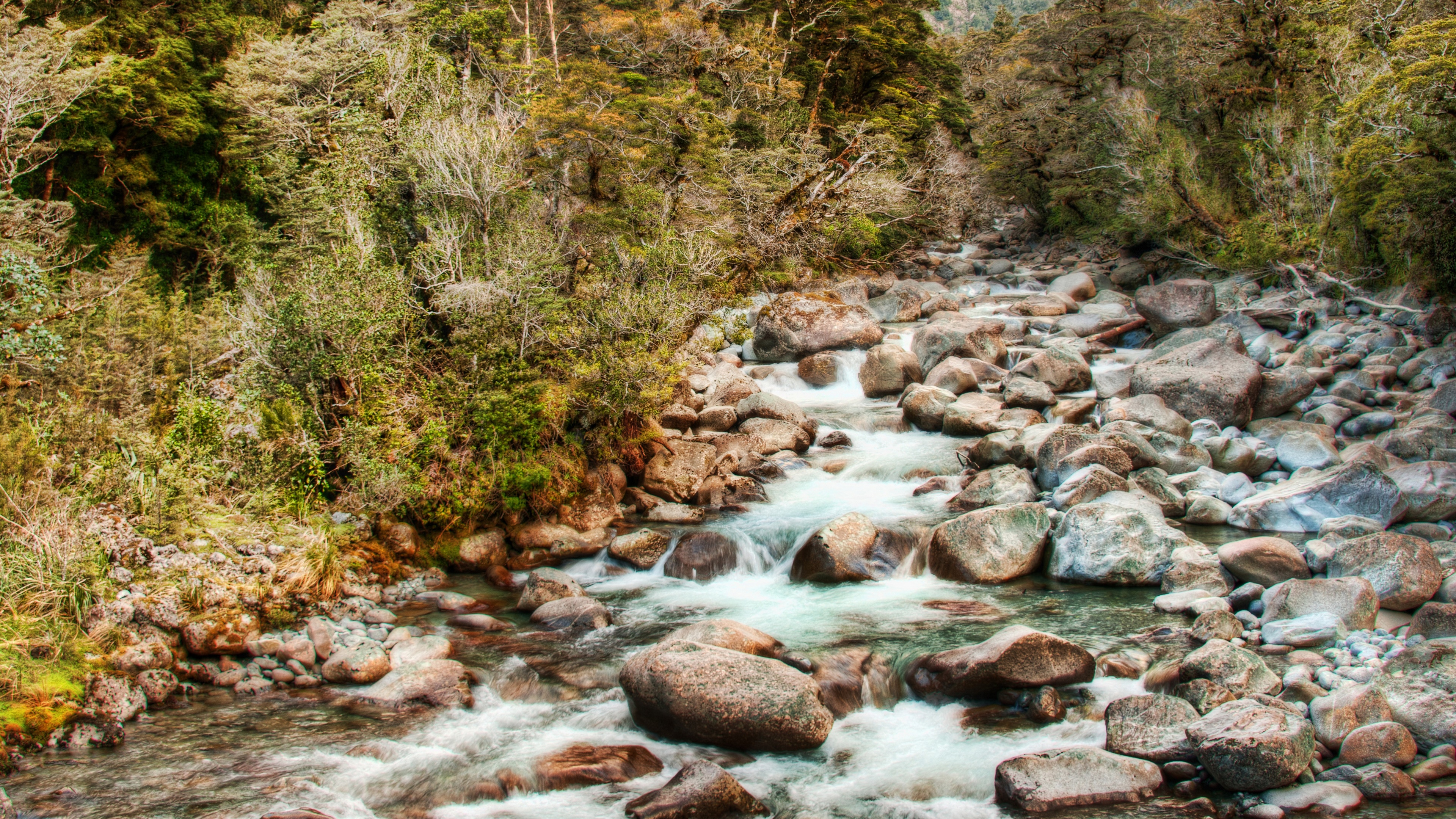 4K New Zealand River with Rocks and Forest HD Wallpaper