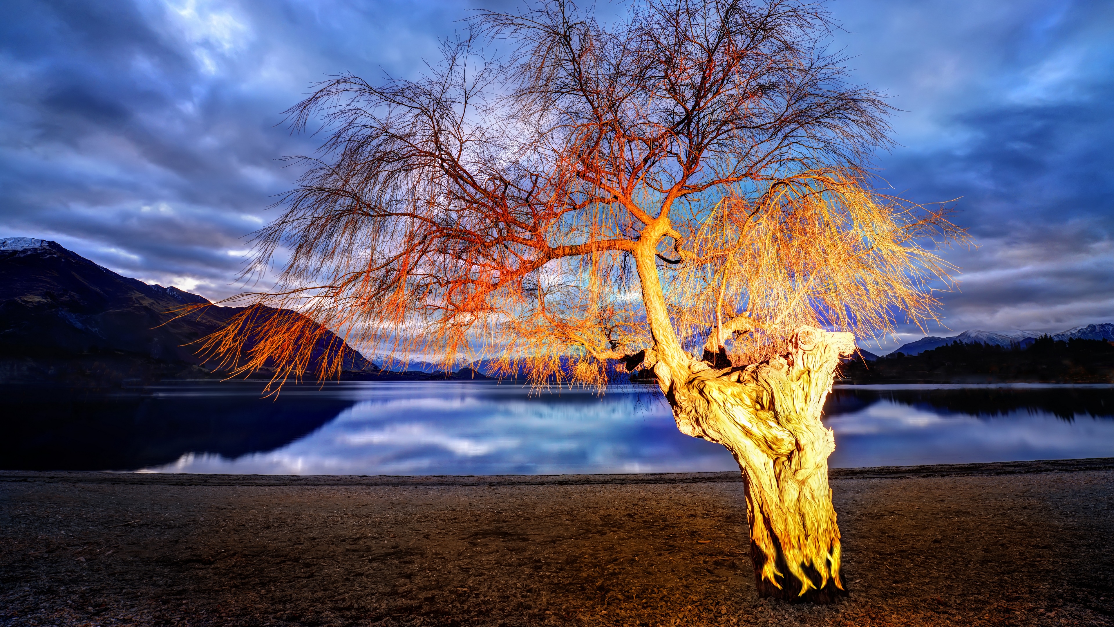 4K Landscape with Tree Reflection on Water HD Wallpaper