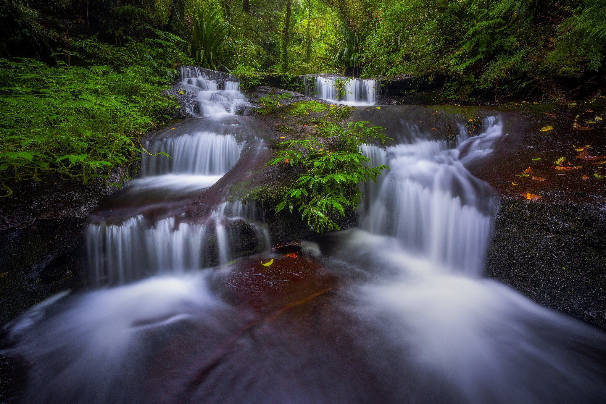 A cascading waterfall in a lush green forest HD Wallpaper