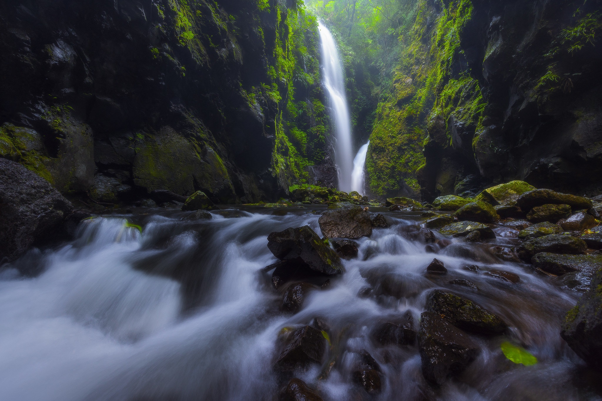 Waterfall cascading into a rocky river in a mossy forest HD Wallpaper