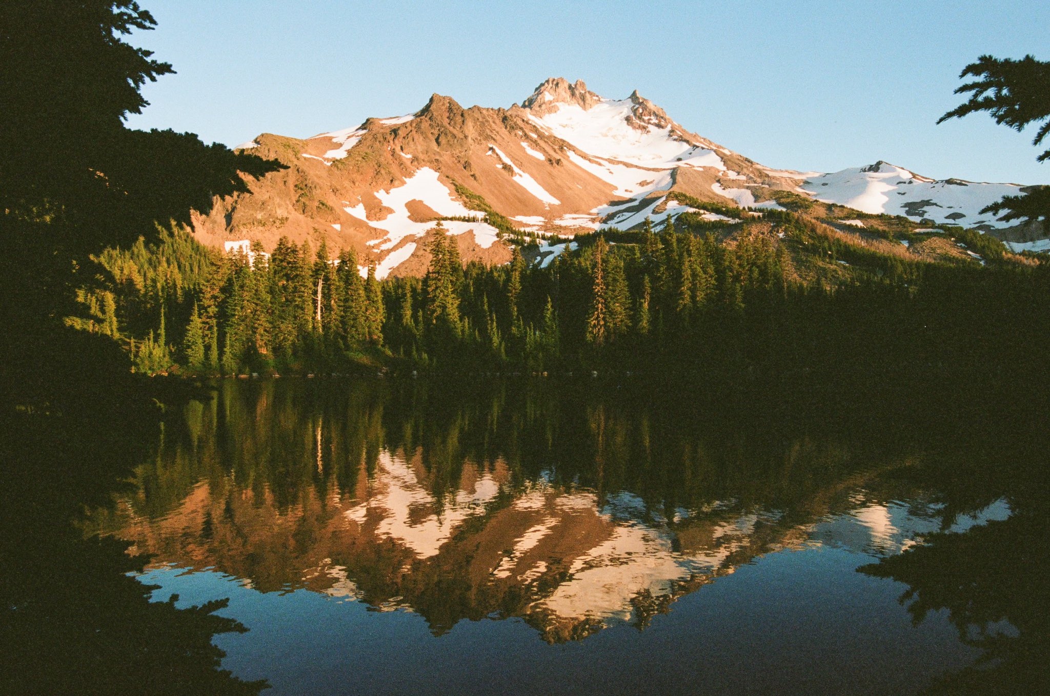 Snowy mountain reflected in a lake with pine trees HD Wallpaper