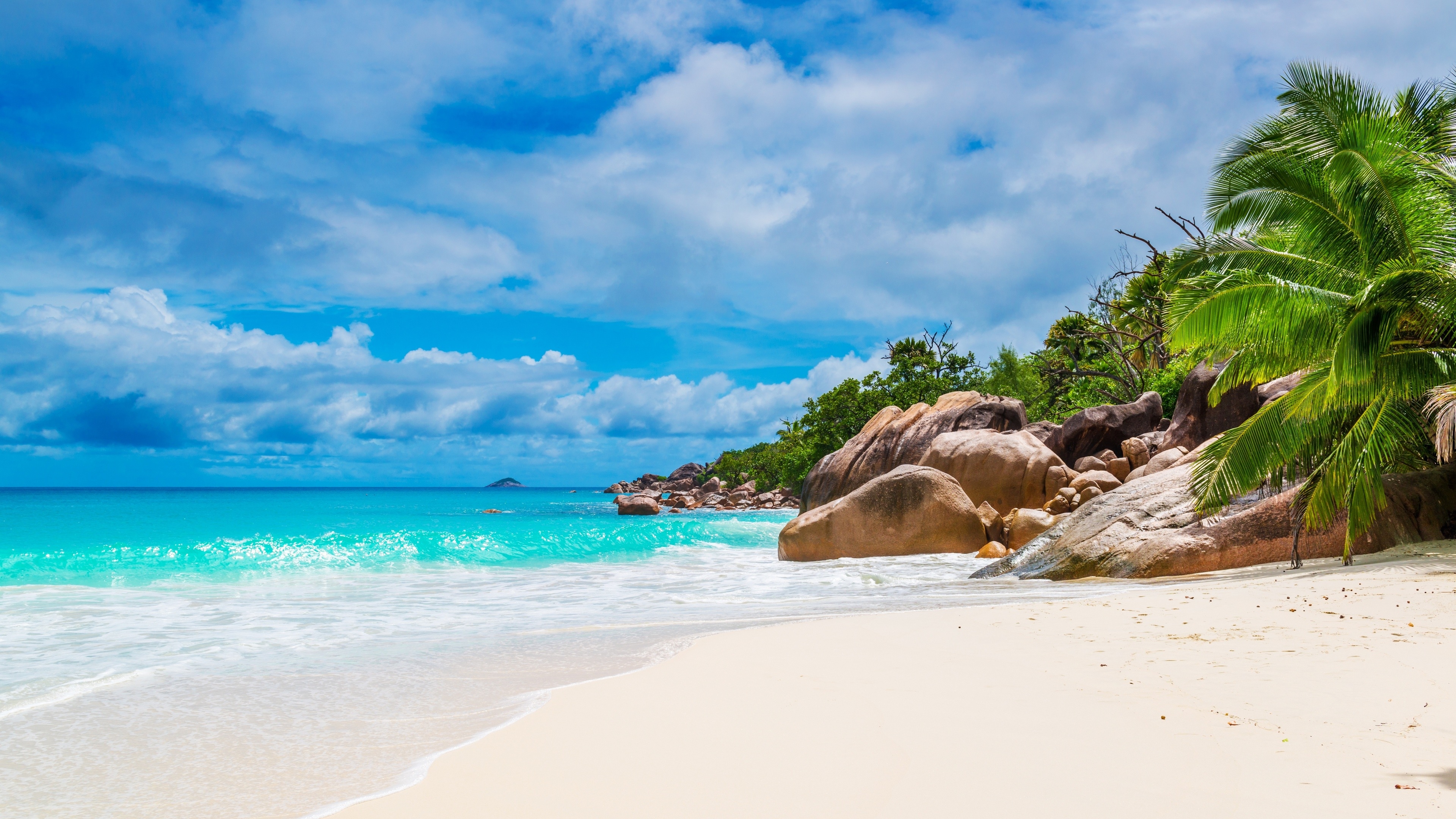 4K Tropical Island Beach with Palm Trees and Rocks HD Wallpaper